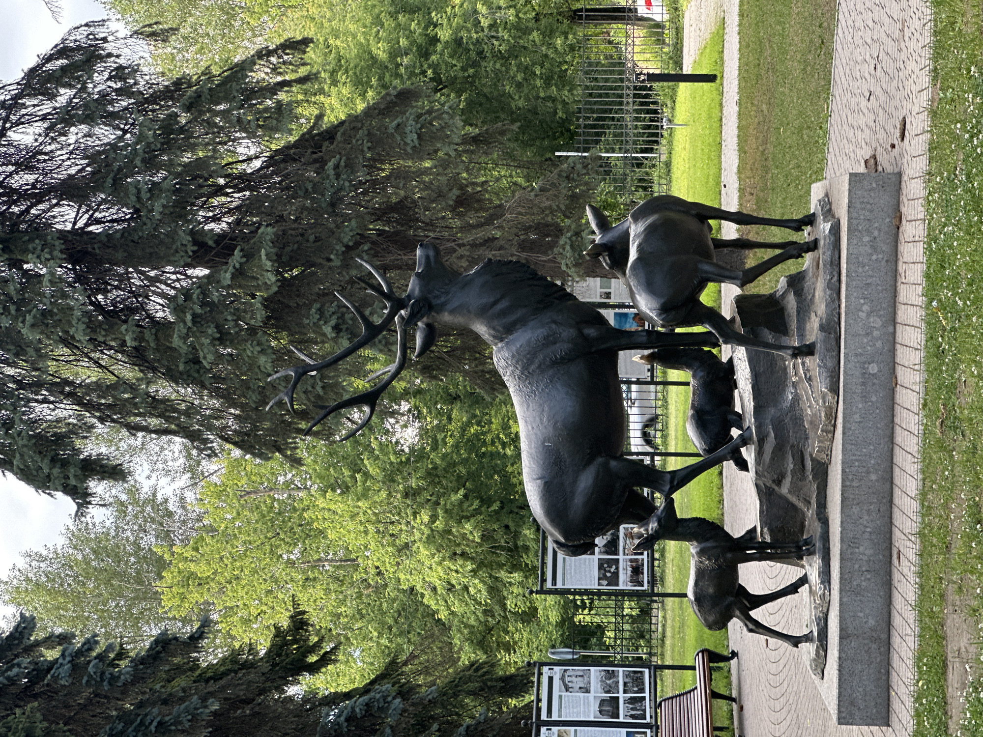 This media file depicts a bronze sculpture of a stag and several fawns in an outdoor setting. The stag is the largest figure, with its mouth open, appearing to be in mid-call or movement. Two fawns are positioned around the stag, one appearing to be a bit larger than the other. Another fawn is seen further down and to the right. The sculpture is set on a grey stone base.
The background shows lush green trees, some with mature foliage and others appearing as younger, brighter green. A black metal fence runs along the back of the scene, separating the sculpture area from a grassy expanse and a paved walkway. Beyond the fence, there are some information boards with text and images, suggesting this is a public space, possibly a park or a historical site. The paving stones on the walkway are made of brick.
The lighting suggests it is daytime, with shadows visible, indicating a partly sunny or overcast sky. The overall scene conveys a sense of nature and wildlife, captured in a static, artistic form.
There are several visible signs with text and photographs, but the text is not legible at this resolution. The location context provided is Kotelniki, Russia.