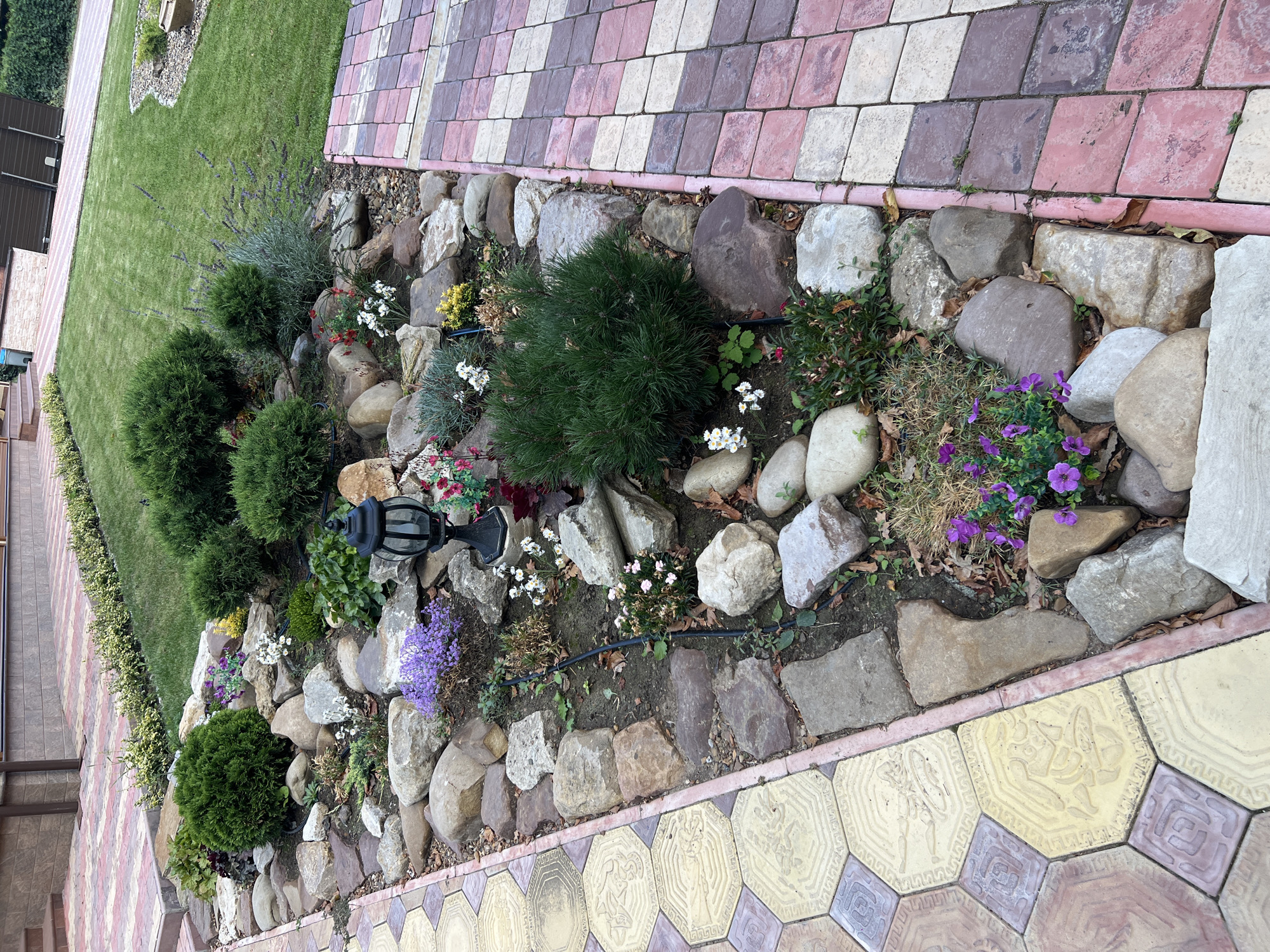 The image depicts a meticulously landscaped garden bed in Kitskany, Moldova, featuring a variety of evergreen shrubs, flowering plants, and decorative stones. The garden bed is bordered by two distinct paved pathways. The pathway on the left is composed of large, hexagonal paving stones with intricate embossed designs, in shades of yellow and purple. The pathway on the right is made of smaller, square pavers arranged in a diagonal pattern, with alternating colors of pink and white. A black, ornate lantern is positioned centrally within the garden bed, adding a classic touch. Various sizes and shapes of natural stones are strategically placed throughout the garden, complementing the greenery and flowers. The background shows a well-maintained lawn and a portion of a building. The scene suggests a residential outdoor space, likely a backyard or front yard, designed for aesthetic appeal and relaxation.