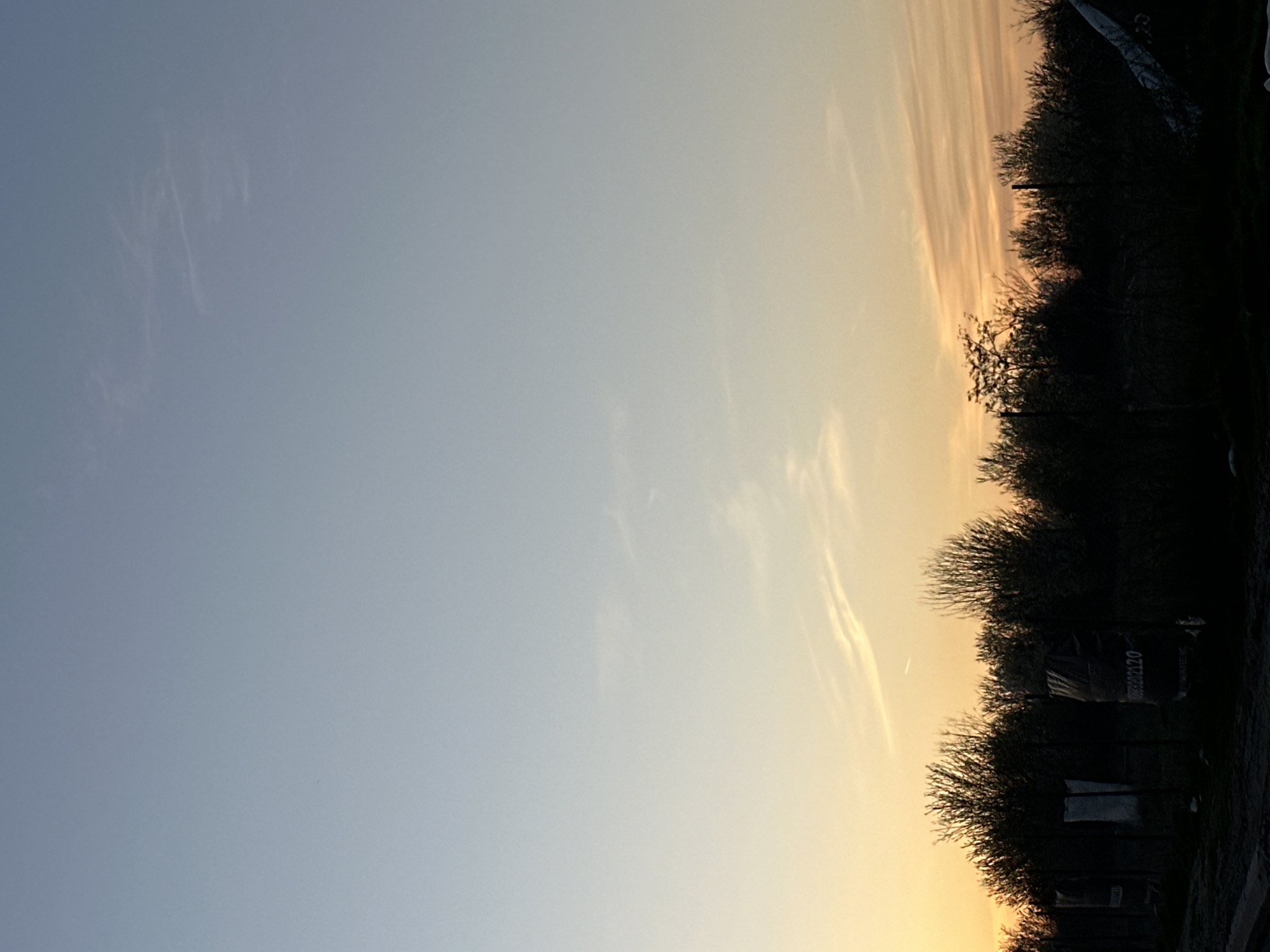 The image shows a landscape at sunset or sunrise. The sky transitions from blue to orange. Trees are silhouetted against the sky on the right side of the image. It's impossible to determine the exact location in Sofia, Bulgaria, from this image alone. There are no people, actions, or interactions visible. There is a banner (possibly a political banner).