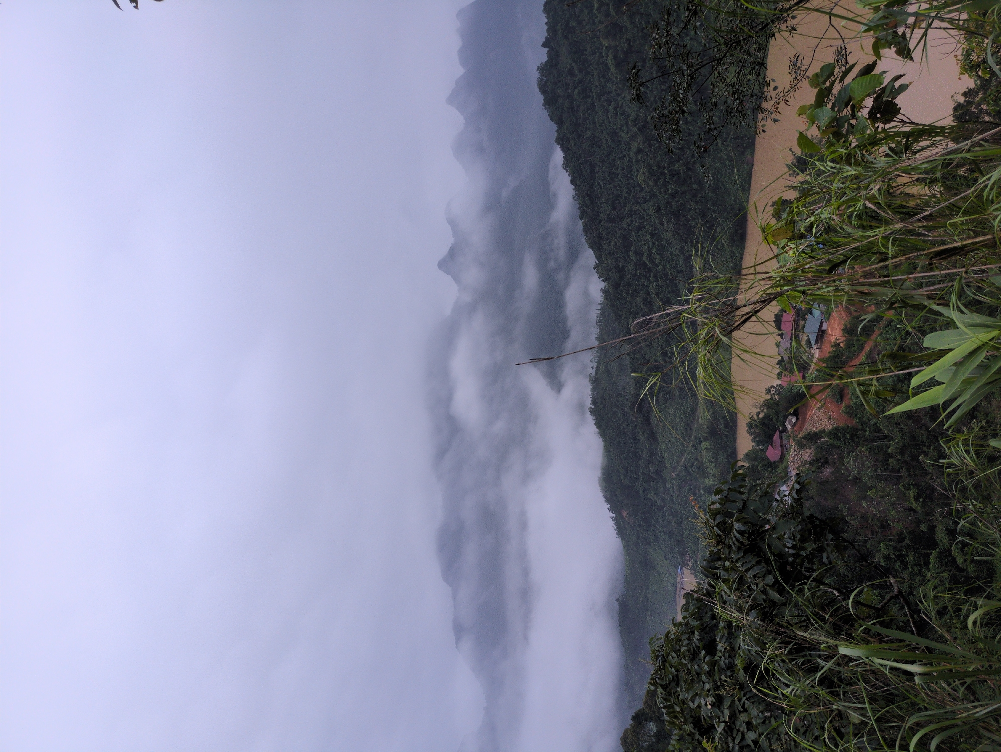 The image depicts a mountainous landscape shrouded in fog, with lush green vegetation covering the slopes. In the foreground, tall grasses and foliage partially obscure the view. A winding, muddy river flows through the valley. A small cluster of buildings, possibly a village or settlement, is visible on the bank of the river, nestled amongst the trees. The sky is overcast with heavy clouds. The scene evokes a sense of remoteness and natural beauty, possibly in a rural area of Vietnam, such as Thuận Hòa Commune, known for its hilly terrain and natural waterways.