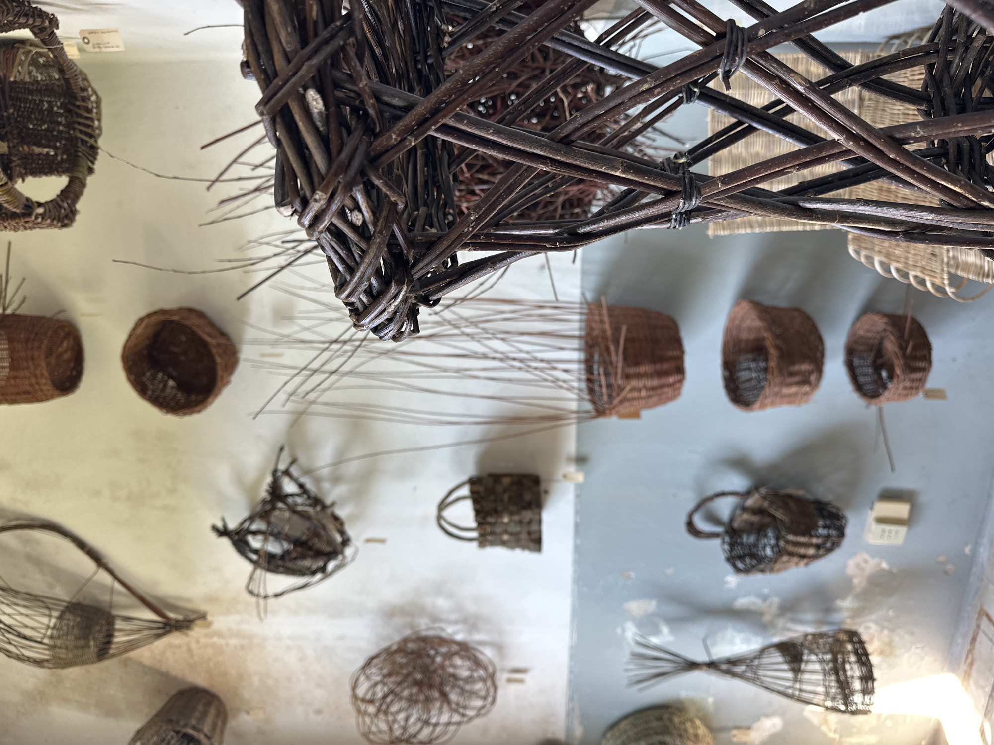 The image displays an exhibition of numerous woven objects, predominantly baskets and intricate sculptural forms, made from natural materials such as branches, twigs, and reeds. The objects are suspended at various heights against a light-colored wall or ceiling, suggesting a museum or gallery setting.
Dominating the upper part of the frame is a large, dark brown, complex woven structure, resembling an open-weave cage or a suspended abstract sculpture, crafted from thick, dark branches. Below and around this central piece, a diverse collection of smaller woven items is displayed. These include traditional-shaped baskets, some with handles, in various shades of brown and natural fibers. Several more abstract or open-weave designs are also visible, some featuring long, trailing strands of fine material, reminiscent of fishing traps or decorative art. One notable item is a small, rectangular woven bag with a handle, while another is a more amorphous, spiraling open-weave piece made from delicate brown strands.
The craftsmanship is evident in the varied weaving techniques and patterns seen across the collection. The natural materials provide a rustic and organic aesthetic. The objects are lit by indoor lighting, casting subtle shadows on the light background. Small white labels are visible near some of the exhibits, likely providing information about the pieces or their origin. The overall scene conveys a sense of cultural display, highlighting traditional craft or contemporary art inspired by weaving. Given the context of Milan, Italy, this could be part of an art exhibition or ethnographic museum showcasing woven artistry.