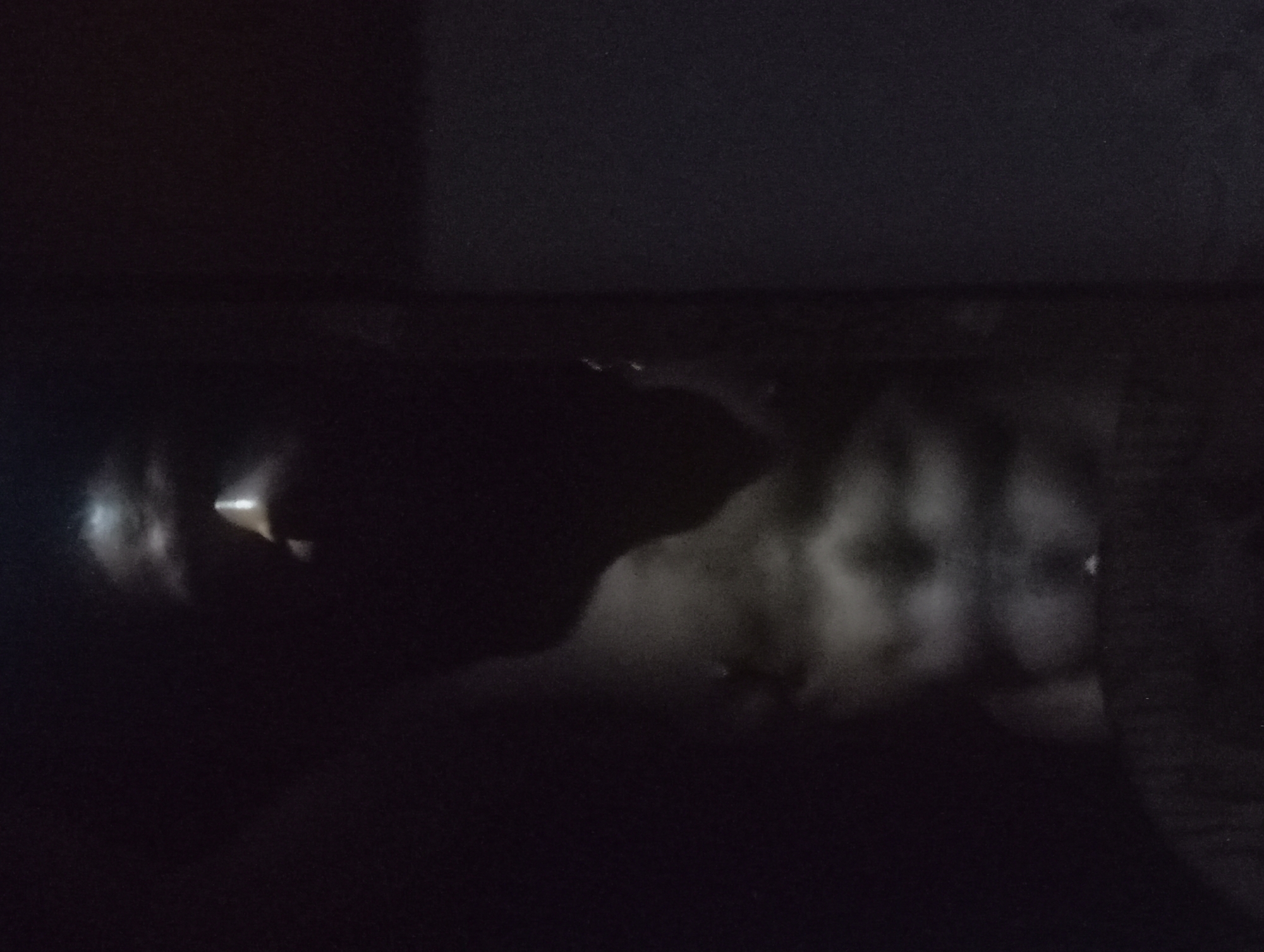 The image is severely underexposed, depicting an interior scene shrouded in profound darkness. The predominant feature is the lack of light, with deep shadows obscuring most details.
No specific subjects, be they people or objects, can be clearly identified. However, several indistinct, hazy shapes and reflections of light are present, suggesting the potential presence of figures or items. On the far left, a bright, elongated streak of light illuminates a dark, curved mass, which could be a human profile or a hand. Further to the right and center, more diffuse, lighter gray patches appear against the black background, forming vague, ghost-like outlines. These could represent additional individuals or large objects, though no discernable features are visible.
No discernible activity or event is taking place; the scene appears static.
The notable details include the extreme low-light conditions, indicating either nighttime or a very dimly lit indoor environment. The visible light appears to be internal to the scene, possibly reflections from a screen or a small light source rather than strong ambient light. There are no clear location cues within the image itself beyond the general indoor setting. No emotions can be discerned from the obscured forms. There is no visible text. The overall impression is one of obscurity and ambiguity due to the profound darkness.