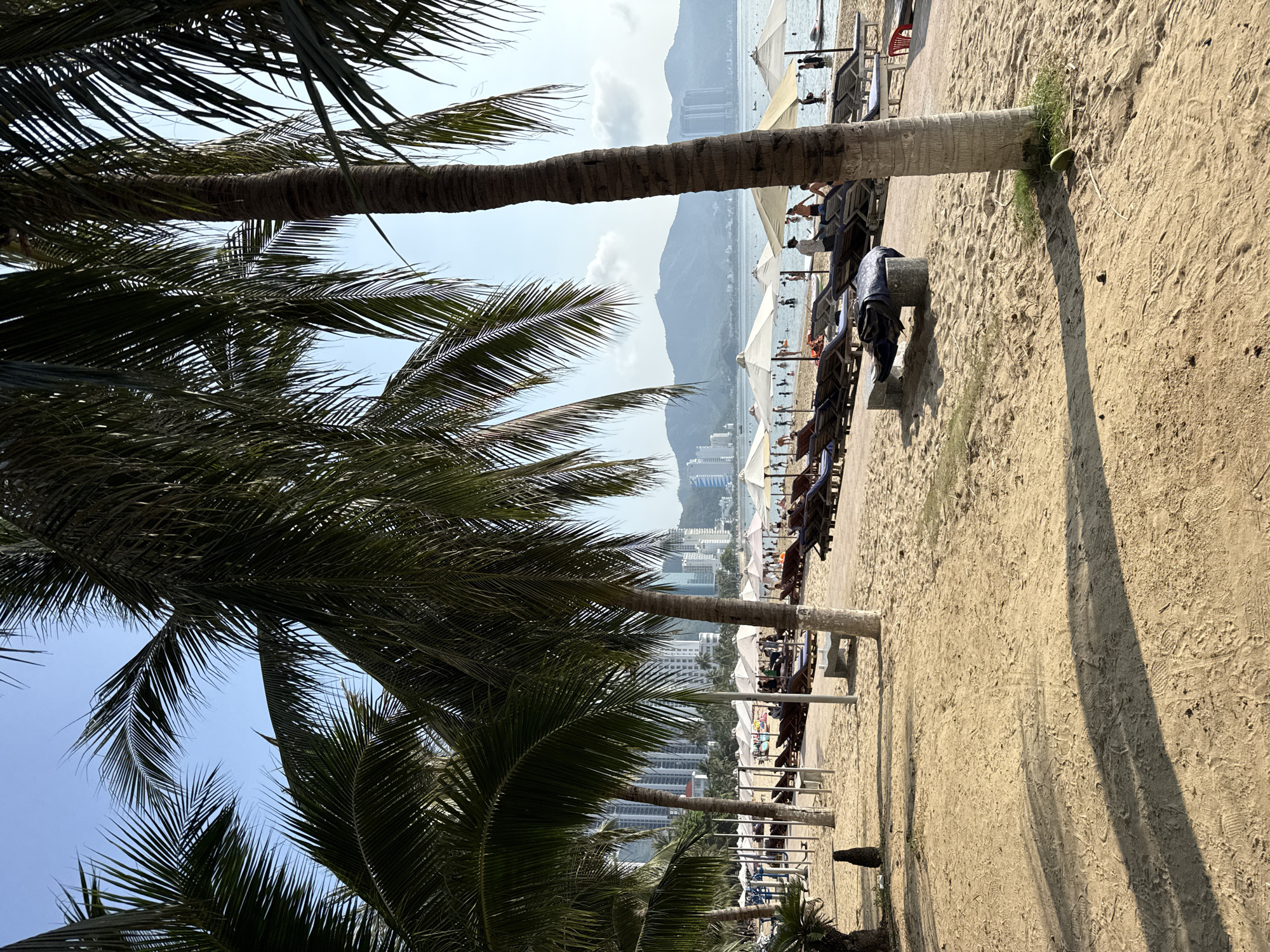 The image depicts a crowded beach in Nha Trang, Vietnam, with a clear blue sky and distant mountains. Palm trees frame the foreground, casting shadows on the sandy beach. Beach chairs and umbrellas are set up, and many people are seen lounging, walking, and swimming in the ocean. Buildings line the coast in the background, suggesting an urban setting. The overall scene is one of a bustling beach resort.