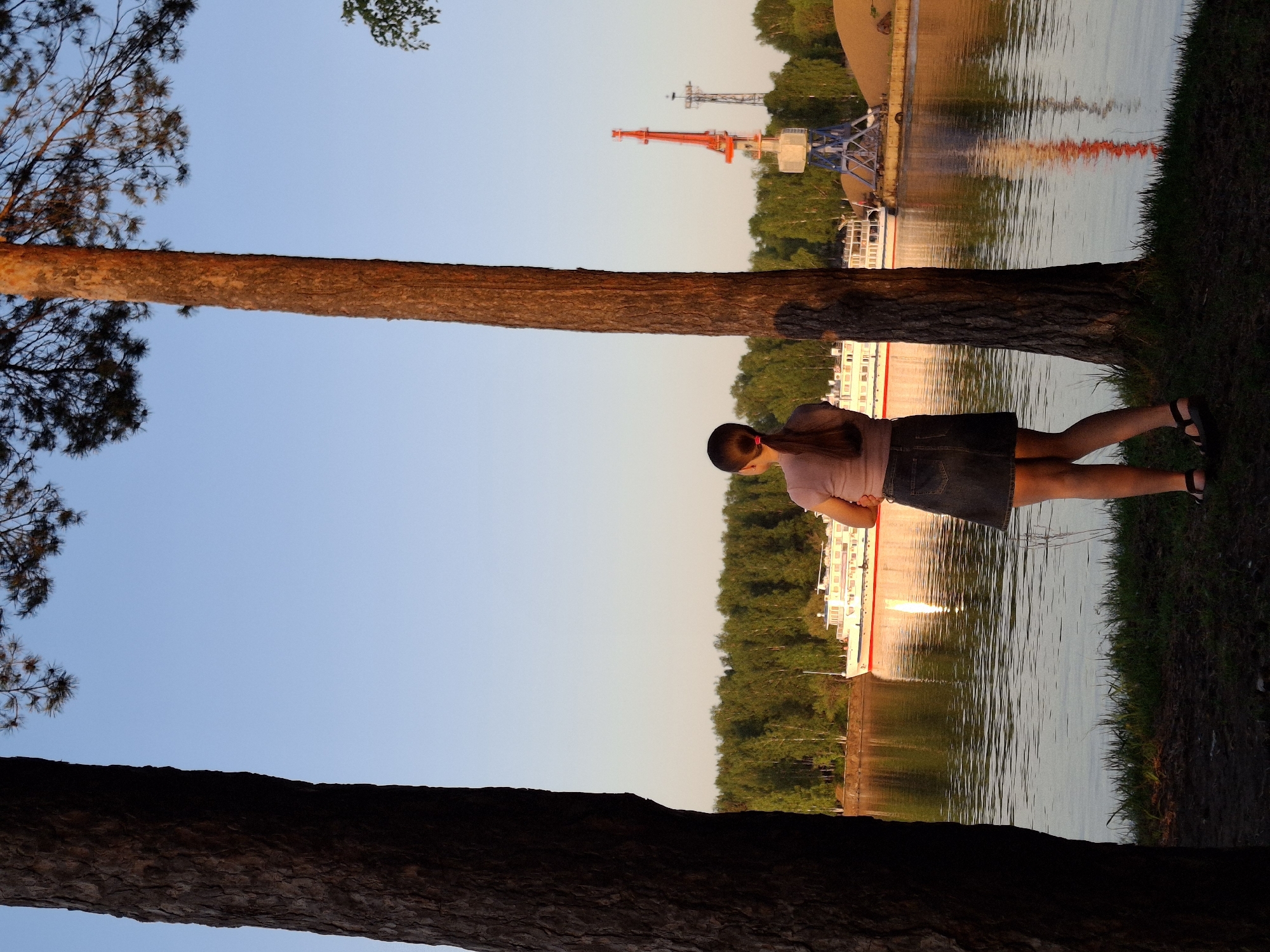 A horizontally-oriented photograph depicts a woman standing on the grassy bank of a river or lake in what appears to be the city of Chaikovsky, Russia.
The woman is positioned to the right of a tree trunk extending horizontally across the center of the frame, appearing to lean against it. She wears a pink top and a denim skirt, with sandals on her feet. Her hair is styled in a ponytail.
Behind the woman and the tree, the body of water extends to a distant shore. A large ship or barge is docked along the opposite bank. Further back, a forest line and a series of industrial cranes are visible against a clear sky. Reflections of light on the water's surface create vertical streaks.
The foreground is dominated by the rough texture of the tree trunk, with additional branches and leaves framing the upper left corner of the scene. The sky graduates from a light blue to a lighter shade as it approaches the horizon.
The photograph appears to have been taken during late afternoon or early evening, given the warm tones and relatively clear light. The overall impression is one of tranquility and natural beauty juxtaposed with industrial elements.