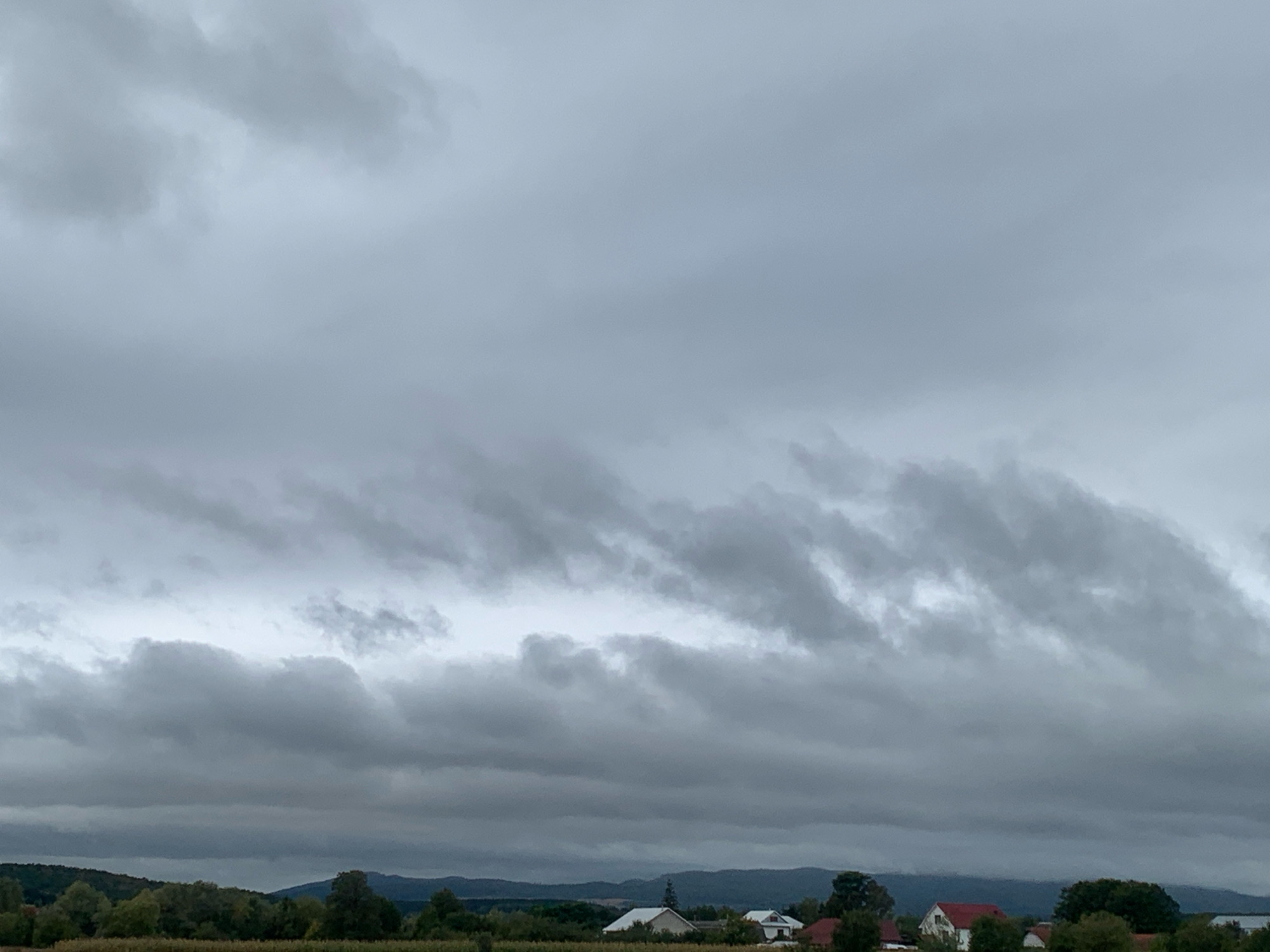 The image depicts an overcast sky with layers of gray clouds stretching across the frame. Below the clouds, a distant treeline with varied foliage forms a dark green horizon. Several houses with red and white roofs are visible nestled within the trees. The overall impression is of a rural landscape under a cloudy sky. The scene is static, with no people or animals present. The weather appears to be cool and possibly damp, typical of a cloudy day. The location is identified as Kidanch, Ukraine.