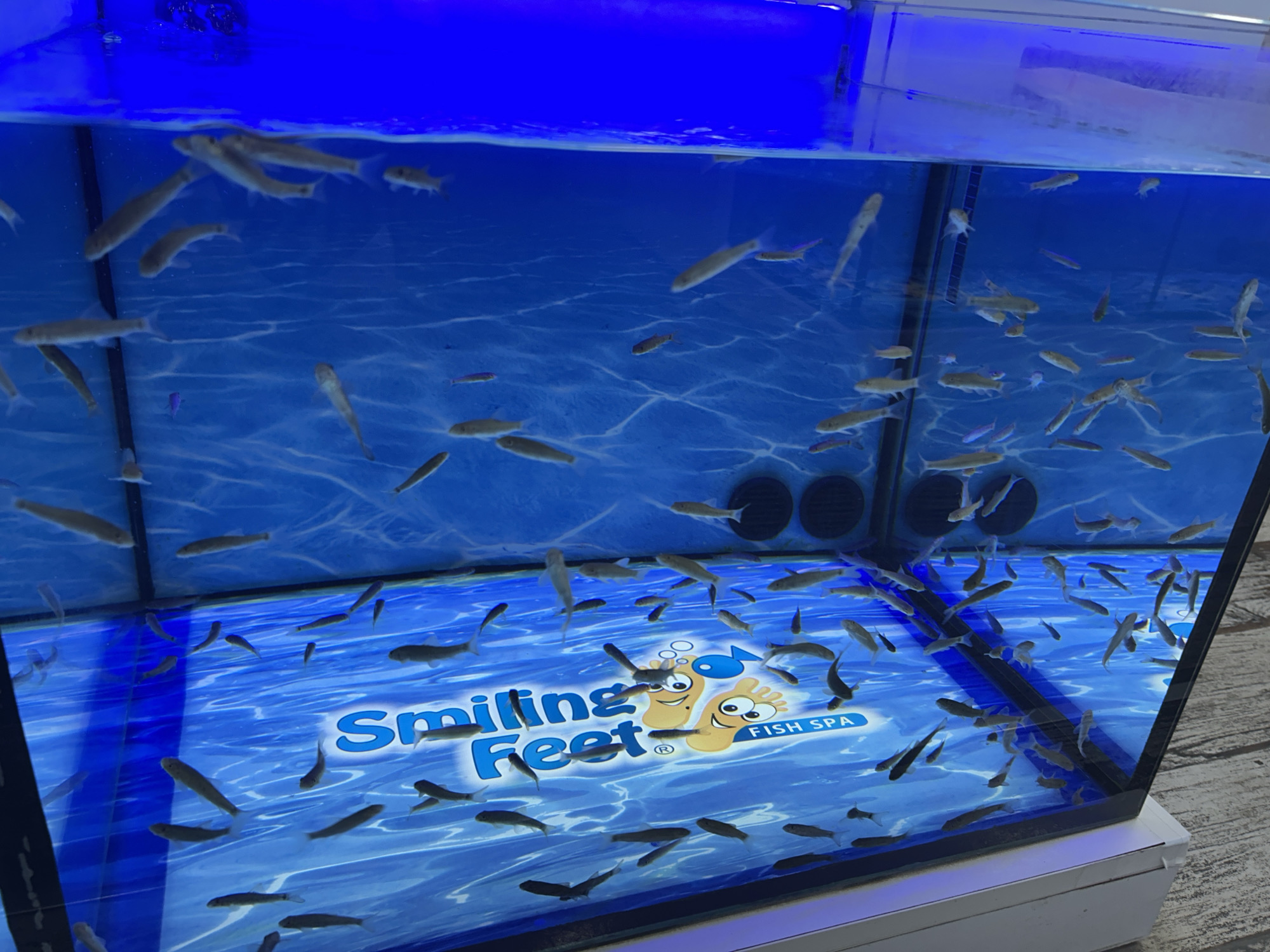 The image shows a fish spa located in Cala Rajada, Spain. The spa tank is filled with water and contains numerous small fish. A logo with the text "Smiling Feet FISH SPA" is visible at the bottom of the tank. The tank is illuminated with blue lighting, and the bottom of the tank is designed to resemble a water surface. There are no people visible in the image, but the presence of the spa implies that people would typically have their feet submerged in the water.