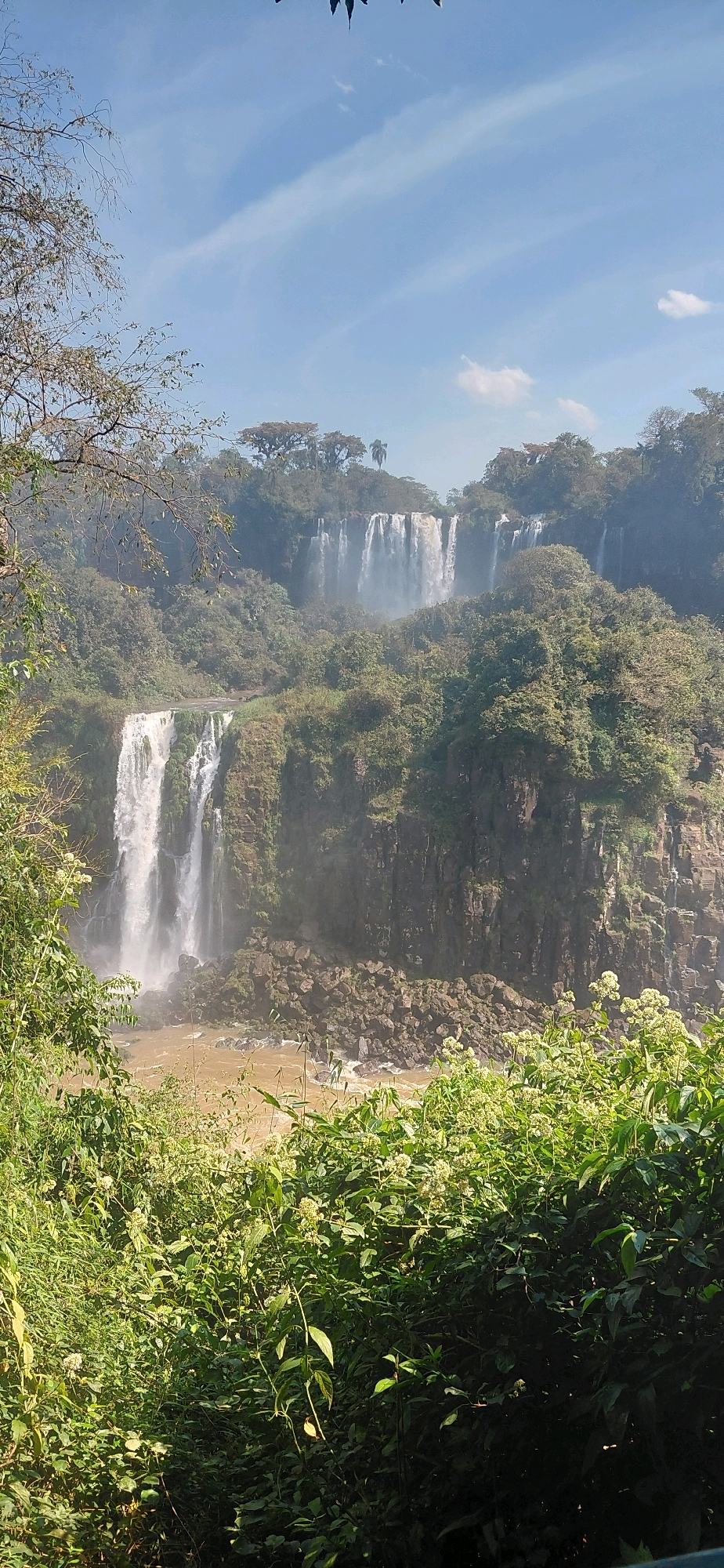 This is a vertical, eye-level, medium-wide shot of the Iguaçu Falls, located in Foz do Iguaçu, Brazil. The falls are a series of waterfalls that stretch across the Iguaçu River, forming a semicircular curtain of water. The water is a muddy brown color and appears to be cascading over a series of rocky cliffs. The cliffs are covered in lush green vegetation, including trees and vines. In the foreground, there is a dense growth of green plants and bushes. The sky is a clear blue with a few wispy white clouds. There are no people visible in the image. The overall impression is one of natural beauty and power.