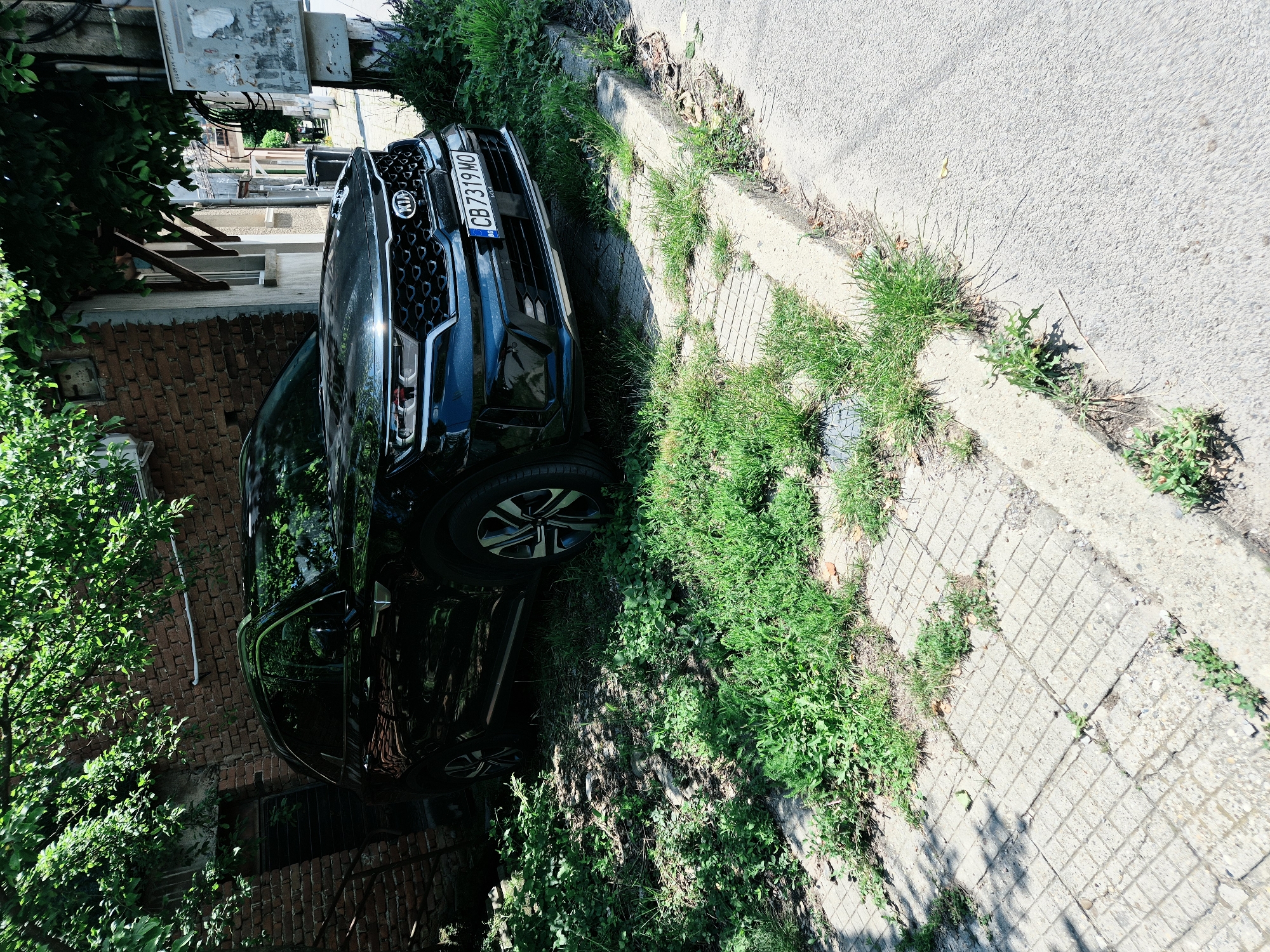 The image displays a black, late-model Kia Sorento SUV parked on an overgrown street in Iskrets, Bulgaria, under bright daylight conditions with notable shadows cast by overhead foliage. No individuals are present in the scene.
The vehicle occupies the midground, positioned with its left side against an elevated, unkempt area covered in dense green grass and weeds, and its front wheels resting on a cracked concrete sidewalk. The front bumper slightly extends over a concrete curb onto the asphalt street, which runs diagonally from the bottom right towards the top left. The SUV's black paint reflects the surrounding greenery and sky. The front fascia prominently features the Kia logo on its grille, distinct LED headlights, fog lights, and a lower silver trim element on the bumper. The Bulgarian license plate "CB 7319 MO" is clearly visible.
To the immediate left of the vehicle, a weathered, reddish-brown brick building stands. It features a dark, recessed entrance or basement doorway on its lower left, appearing to have horizontal security bars or a dark, closed door. An air conditioning unit is mounted high on the brick wall, partially obscured by the extensive green tree canopy that provides shade over much of the scene.
To the right of the vehicle, a lighter-colored building facade is partially visible, featuring a weathered wooden window frame. Several grey utility boxes or electrical panels, covered with faded stickers or graffiti, are affixed to a pole or the exterior wall. Further down the narrow street, a dark trash bin is faintly visible between buildings.
The foreground consists of a concrete sidewalk with a grid-patterned texture, significantly overgrown with various types of grass and weeds pushing through its cracks. This sidewalk is bordered by a concrete curb separating it from the grey asphalt street. The overall environment suggests an older, somewhat neglected urban or semi-urban setting with considerable natural overgrowth.