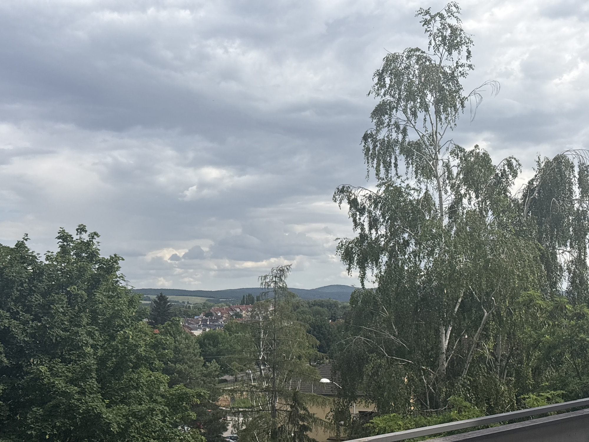 This media file depicts an outdoor scene with a natural setting. The foreground is dominated by trees, including birch trees with their distinctive white bark, and dense green foliage. In the midground, a town or village is visible, characterized by houses with red-tiled roofs and a church steeple. The background shows rolling hills and a cloudy sky.
The weather appears overcast, with heavy grey clouds obscuring the sun, suggesting a possibly rainy or stormy day. The overall mood is somewhat somber due to the weather, but the lush greenery indicates a temperate climate and likely springtime or summer.
There are no visible people or animals in the image. The only man-made objects clearly discernible are the buildings in the town and a faint outline of a railing in the very bottom foreground. The scene seems to be a view from an elevated position, looking down onto the town and surrounding landscape.
There is no discernible text within the image. The location context provided places this scene in Piešťany, Slovakia, which is consistent with the visual cues of European architecture and landscape. The time of day is not explicitly indicated, but the overcast conditions make it difficult to ascertain the exact hour.