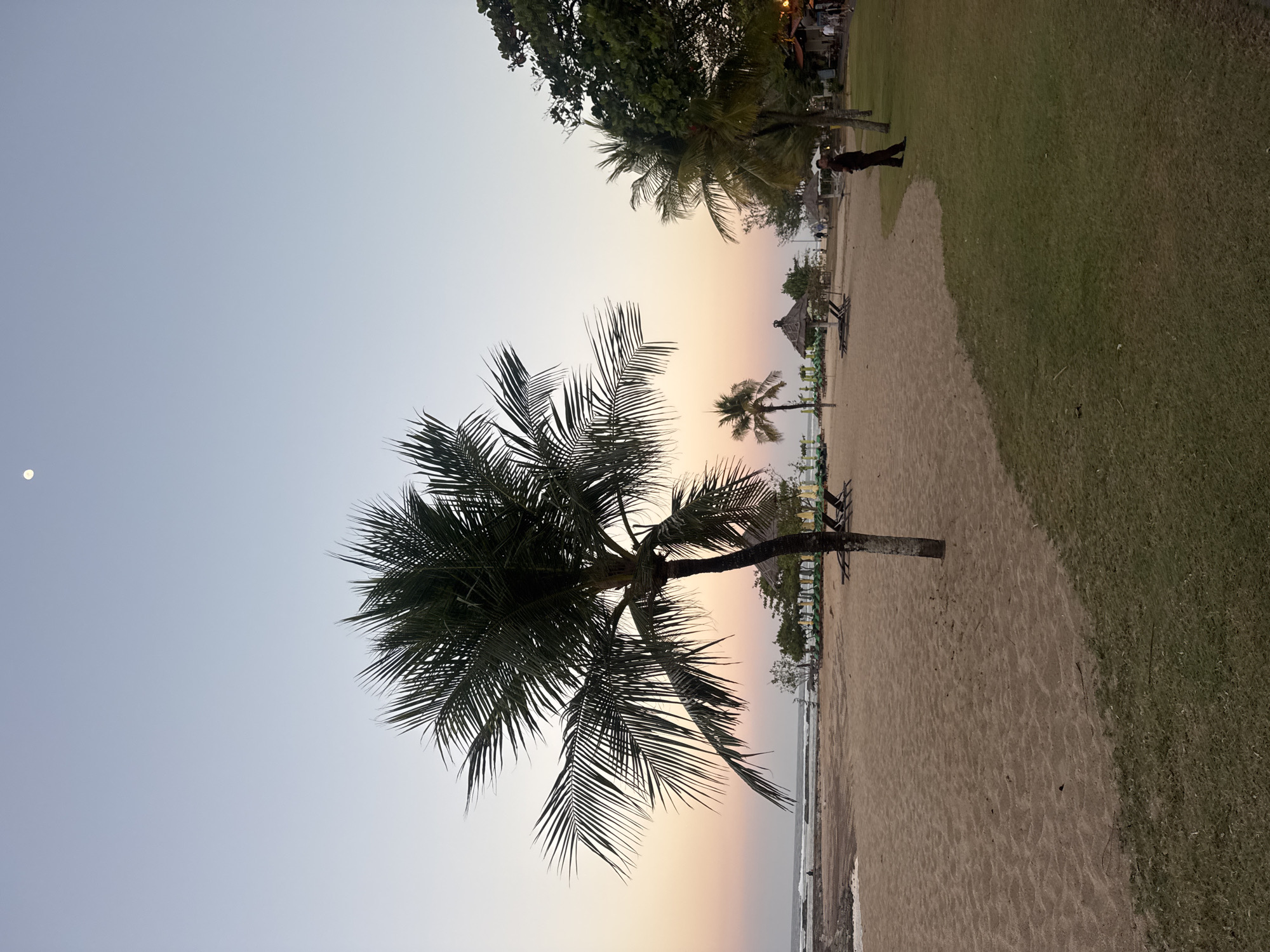 The image captures a serene beach scene at dusk in Kuta Selatan, Indonesia. A prominent palm tree stands in the foreground on the left, its fronds silhouetted against a gradient sky of pale blue and soft peach hues. The beach itself is sandy, with the tide gently lapping at the shore in the distance. A few beach umbrellas and lounge chairs are scattered across the sand, some under thatched roofs. In the mid-ground, another smaller palm tree is visible, and further back, more trees and structures are dimly lit. A faint moon is visible in the upper portion of the sky. On the right side of the image, a patch of green grass leads to a pathway where a person in dark clothing stands. Other individuals are seen in the distance, suggesting a public area or resort. The overall atmosphere is tranquil and inviting, indicative of the late evening hours on a tropical coastline.