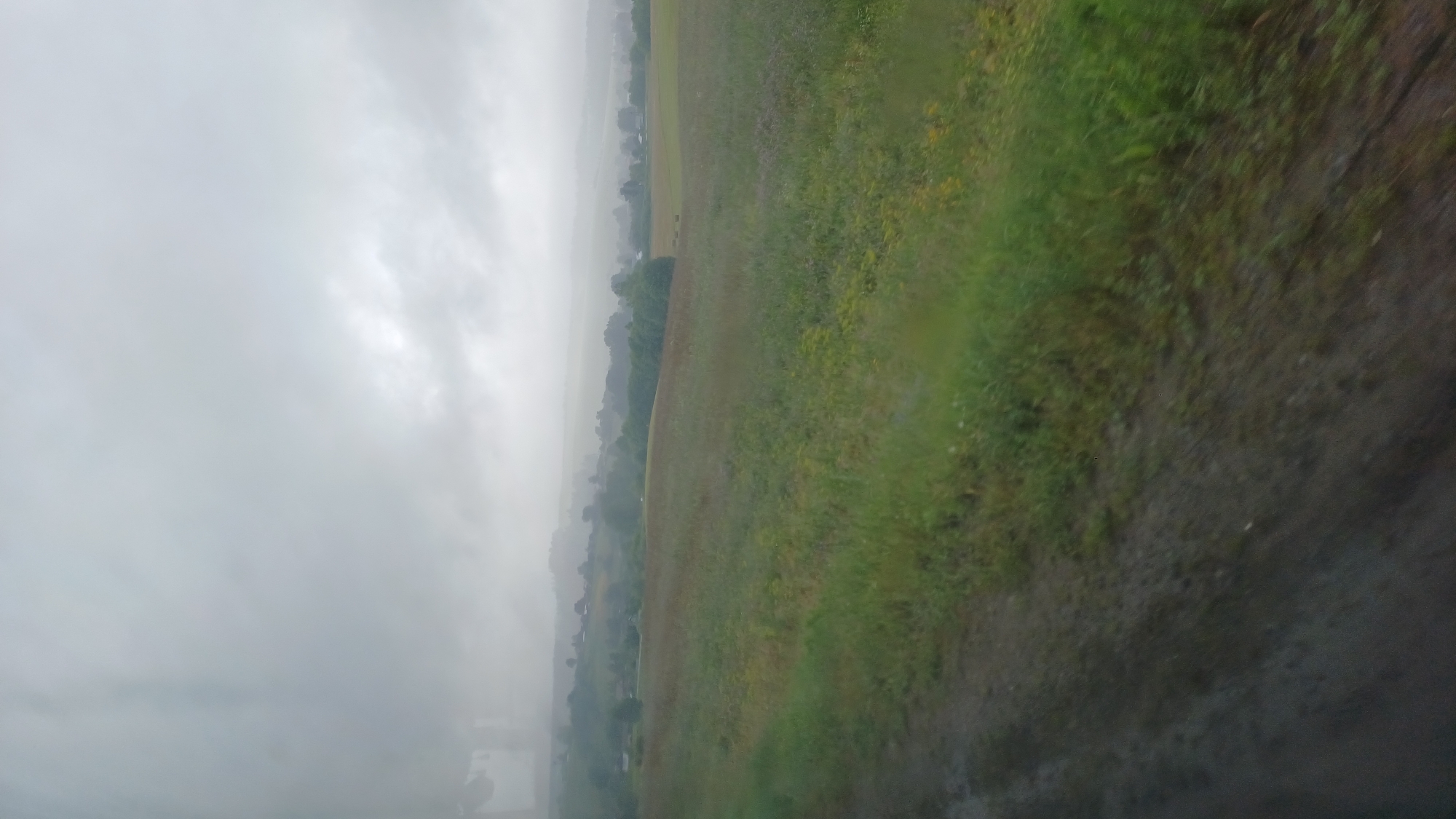 The image depicts a rural landscape on a cloudy day. In the foreground, a dirt path runs along the left side, bordering a grassy field. The field extends into the middle ground, with a mix of green grass and some yellow flowers. Further in the distance, rolling hills are visible, dotted with trees and what appear to be scattered buildings, suggesting a village. The sky is overcast and heavy with clouds, creating a muted, diffused light across the scene. The overall impression is one of a somber, perhaps damp, rural environment, likely outside of Buranovo, Russia. There are no people or discernable actions in the image.