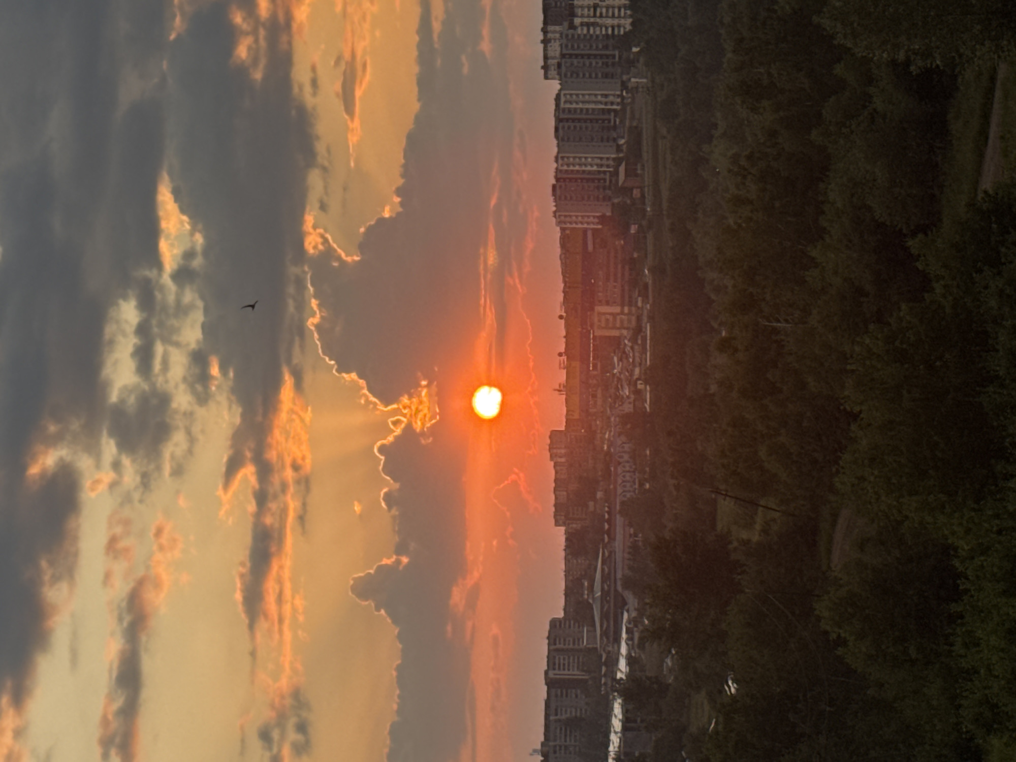The image depicts a sunset over the city of Bratsk, Russia. The sun, a bright orange orb, is partially obscured by clouds, casting rays of light through gaps in the sky. The sky itself is a gradient of orange and yellow, with darker grey clouds interspersed. A solitary bird is visible in flight against the clouds. Below the sky, a cityscape of apartment buildings and industrial structures is visible. These buildings appear to be multi-story residential blocks and commercial or industrial facilities. In the foreground, a dense canopy of green trees covers the landscape, suggesting a suburban or edge-of-city environment. The overall impression is that of an urban landscape at dusk, with the natural beauty of the sunset dominating the scene.