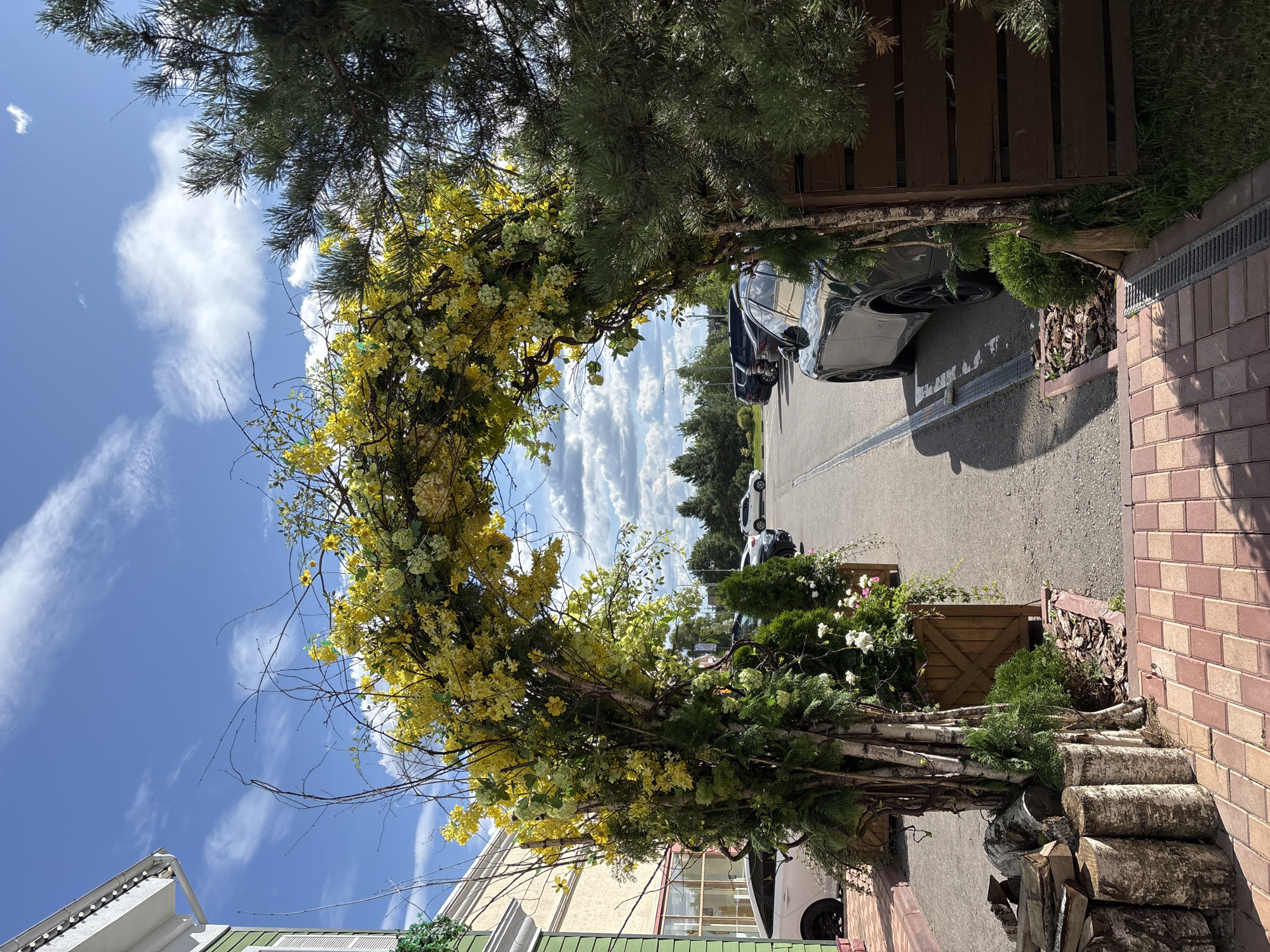 The image shows a decorative archway covered in yellow flowers, leading to a parking lot. The archway is constructed from branches and greenery. To the left of the arch, a building with light green siding and white trim is visible. In the parking lot, several cars are parked. A large pine tree is situated to the right of the arch. The sky above is blue with scattered white clouds. The scene appears to be an outdoor entrance to a venue or establishment in Pokrovskoe, Russia.