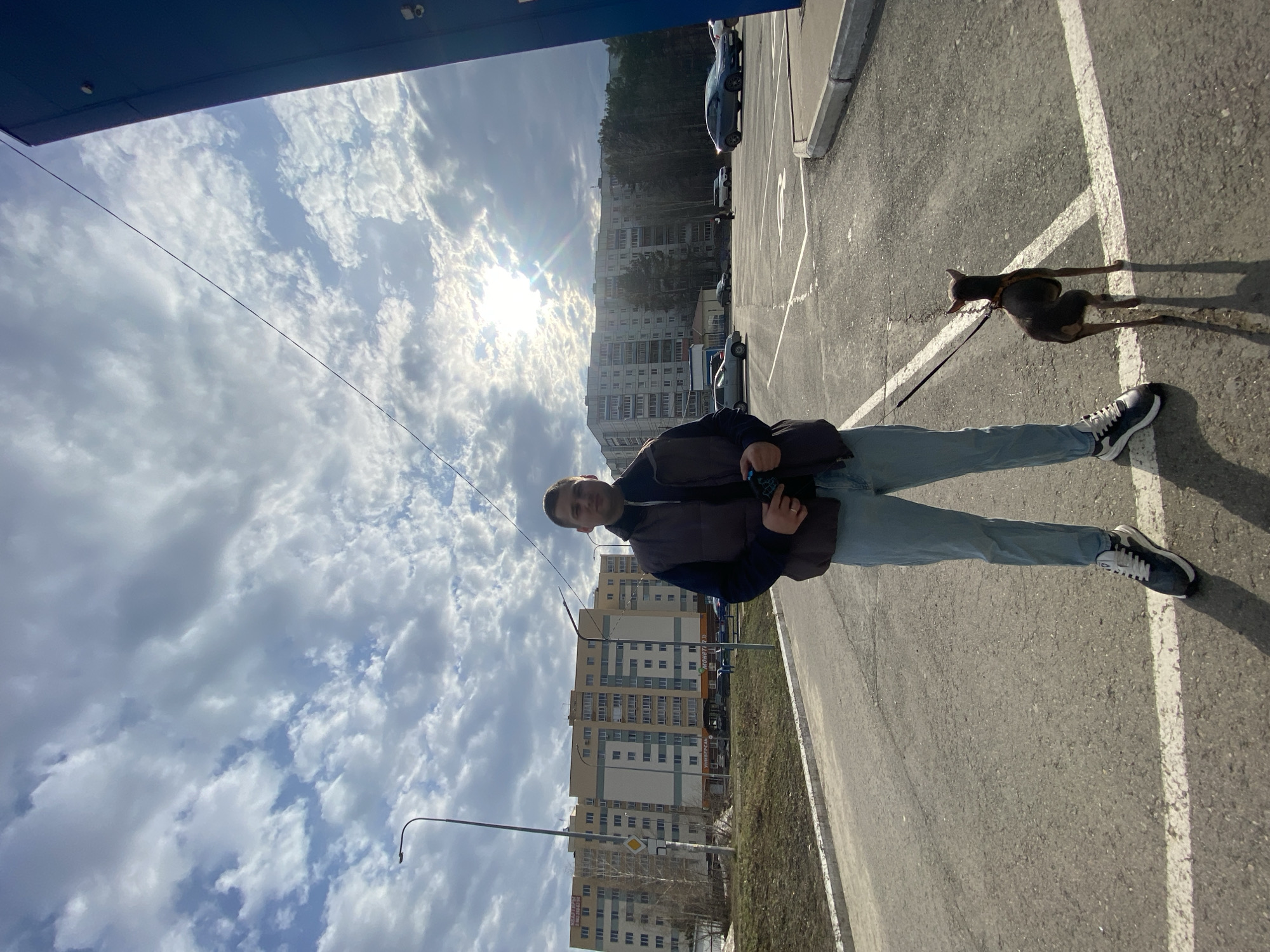 The image captures a man walking a small dog on a sunny, partially cloudy day in what appears to be an urban or suburban setting, specifically Chaikovsky, Russia. The man, positioned slightly left of center and facing the camera, wears a dark vest over a long-sleeved top, light blue pants, and black and white sneakers. He holds a small, dark object, possibly a camera or electronic device, in his left hand.
A small, dark-colored dog, likely a Miniature Pinscher, is on a leash to the man's right, looking away from the camera. Both the man and the dog cast long shadows on the asphalt, indicating a bright sun, possibly late morning or early afternoon. The ground is an asphalt surface with white painted lines, suggesting a parking lot or street.
In the background, several multi-story residential apartment buildings line the street, with bare trees interspersed among them. The sun shines brightly from behind these buildings, creating a glare in the sky. The sky is a mix of blue and scattered white cumulus clouds. Power lines and a street lamp are visible overhead. Various cars are parked in the distance. A large blue structure, possibly a building or awning, is partially visible in the upper left foreground. A diamond-shaped road sign is vaguely discernible in the middle ground. No legible text is visible on any signs or structures.