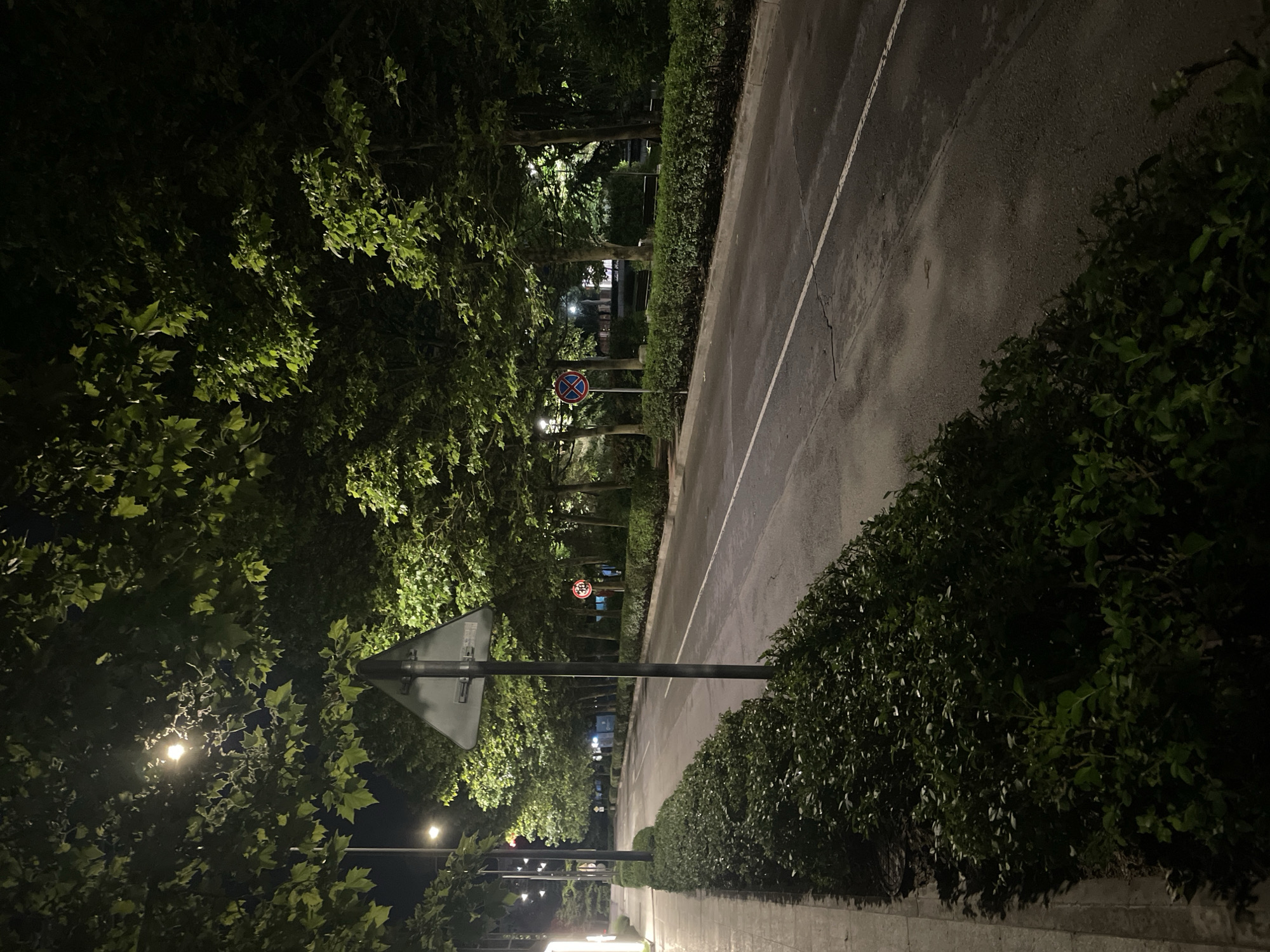 The image depicts an outdoor night scene in Sofia, Bulgaria, showing a road or pathway bordered by dense vegetation. The perspective is looking down a straight stretch of wet asphalt, which suggests recent rain, reflecting the ambient light. A white line runs along the edge of the road, marking a lane or shoulder.
On the left side, tall, leafy trees form a canopy, with their green leaves illuminated by unseen streetlights, creating patches of brightness against the dark sky. The back of a triangular road sign, likely a warning or informational sign, is visible in the foreground on the left, partially obscured by tree branches. On its back, the text "MADE IN EU" is discernible. Further down the path, through the trees, a circular "No Stopping" road sign (red circle with a blue cross) is clearly visible. Another similar sign can be vaguely seen further in the distance.
On the right side of the road, a neatly trimmed green hedge runs alongside a narrow sidewalk or pavement. The hedge also shows some light reflections on its leaves from nearby light sources. Streetlights are visible as bright glows through the foliage on both sides of the scene, casting light and shadows. No people or moving vehicles are visible, indicating a quiet moment, possibly late at night. The overall atmosphere is serene and damp.