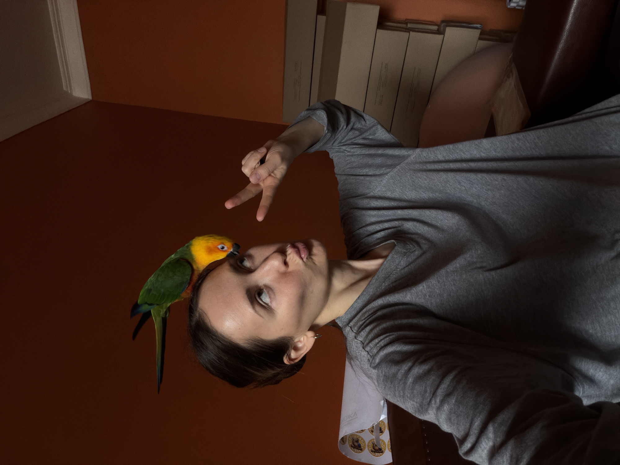 A person with dark hair, wearing a grey long-sleeved shirt, is posing in a room. A parrot with yellow and green plumage sits on the person's head, appearing to touch the person's face. The person has their right arm raised, making a peace sign with their fingers. The room has walls painted in a shade of dark orange, and there are stacks of cardboard boxes in the background. There are no visible indications of the city of Khimki, Russia.