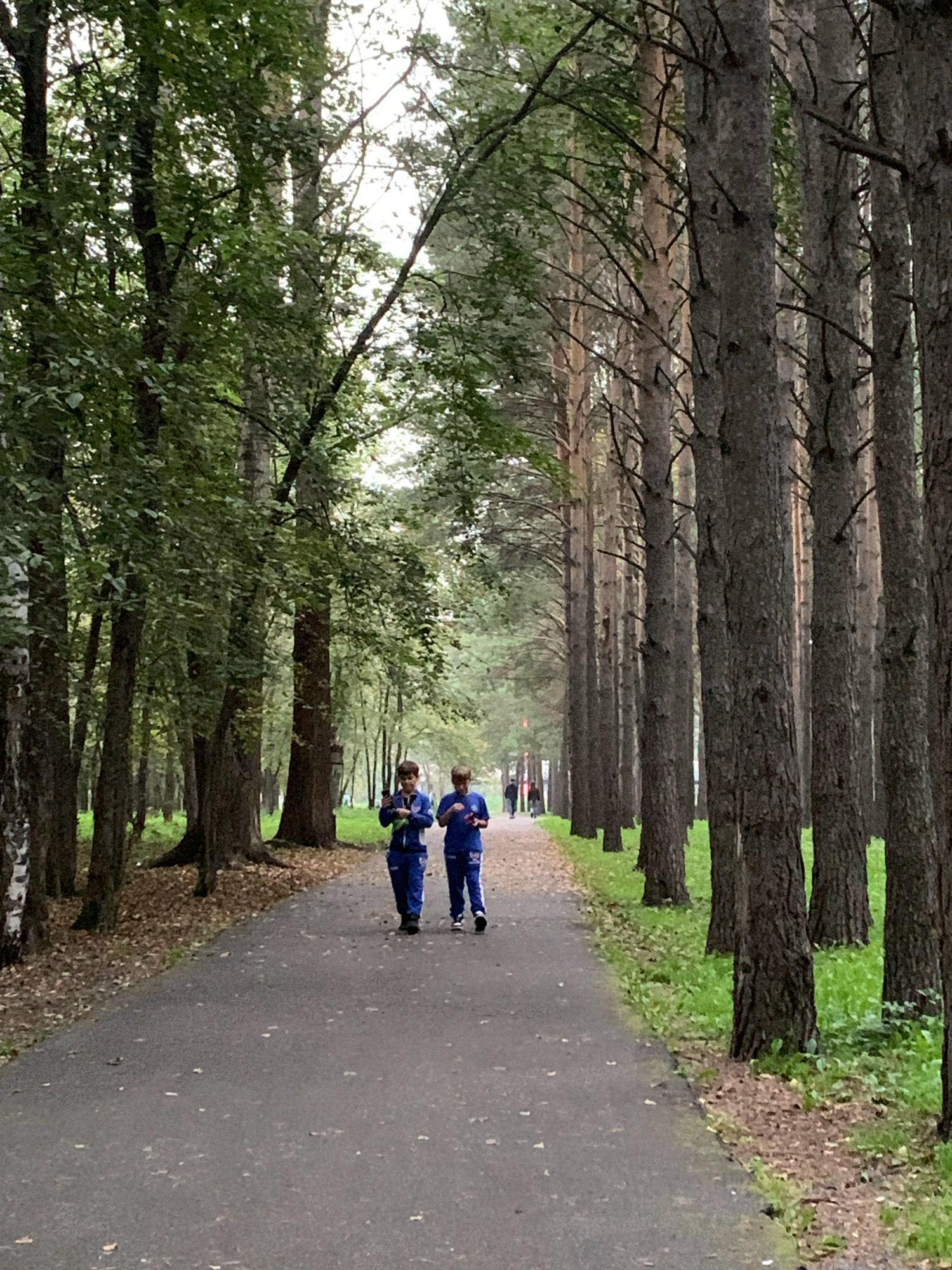 Two young males, likely children, walk away from the camera on a paved path through a park. They are wearing matching blue tracksuits. The path is bordered on the left by deciduous trees and on the right by a dense row of tall pine trees. The ground is covered with fallen leaves and grass. The sky is overcast. The scene is consistent with a park in the city of Prokopyevsk, Russia, known for its forested areas and recreational spaces like this.