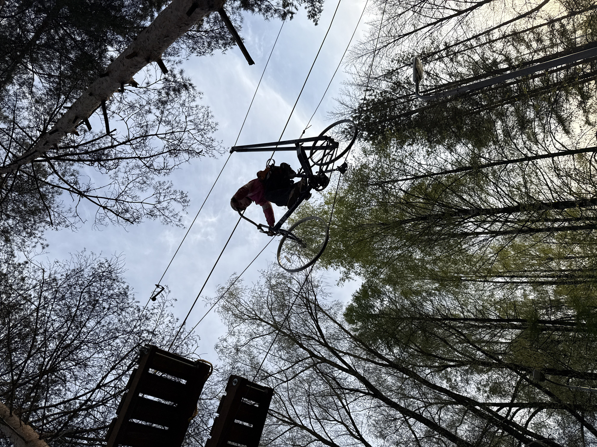 The image depicts an aerial adventure course situated in a forest-like environment, with tall trees framing the scene. In the center, a person is riding a suspended bicycle along a high wire cable. The person is wearing a pink jacket, and a safety harness is evident. Below the bicycle obstacle are sections of a wooden suspension bridge. The sky is visible through the tree canopy, indicating a daytime setting. While the image captures an element of adventure and recreation, the specific location in Rusanovo, Russia, cannot be confirmed based solely on the visual evidence provided.