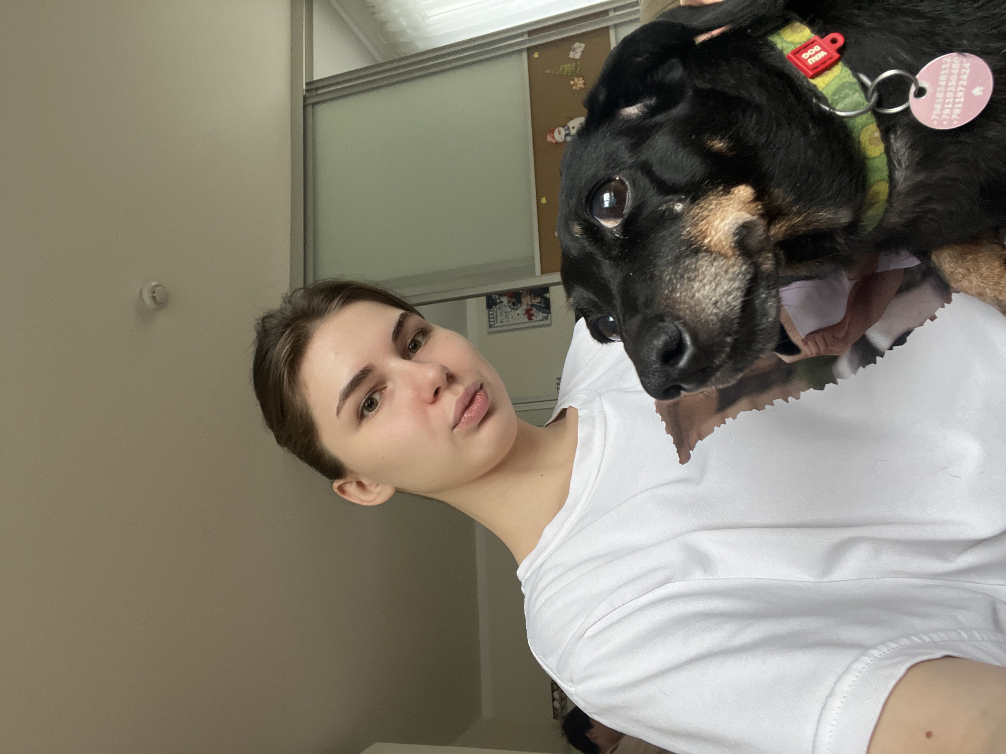 A woman with brown hair is holding a black and tan dog. The dog is wearing a green camouflage collar with a red tag that says "DOG MIA". The tag also has contact information. The woman is wearing a white t-shirt. The background includes a wall, a door with frosted glass panels, and a bulletin board. Based on the Cyrillic characters on the tag, the photo might be taken in a region where the language is spoken, but there is no indication that this image was taken in Saint Petersburg, Russia.