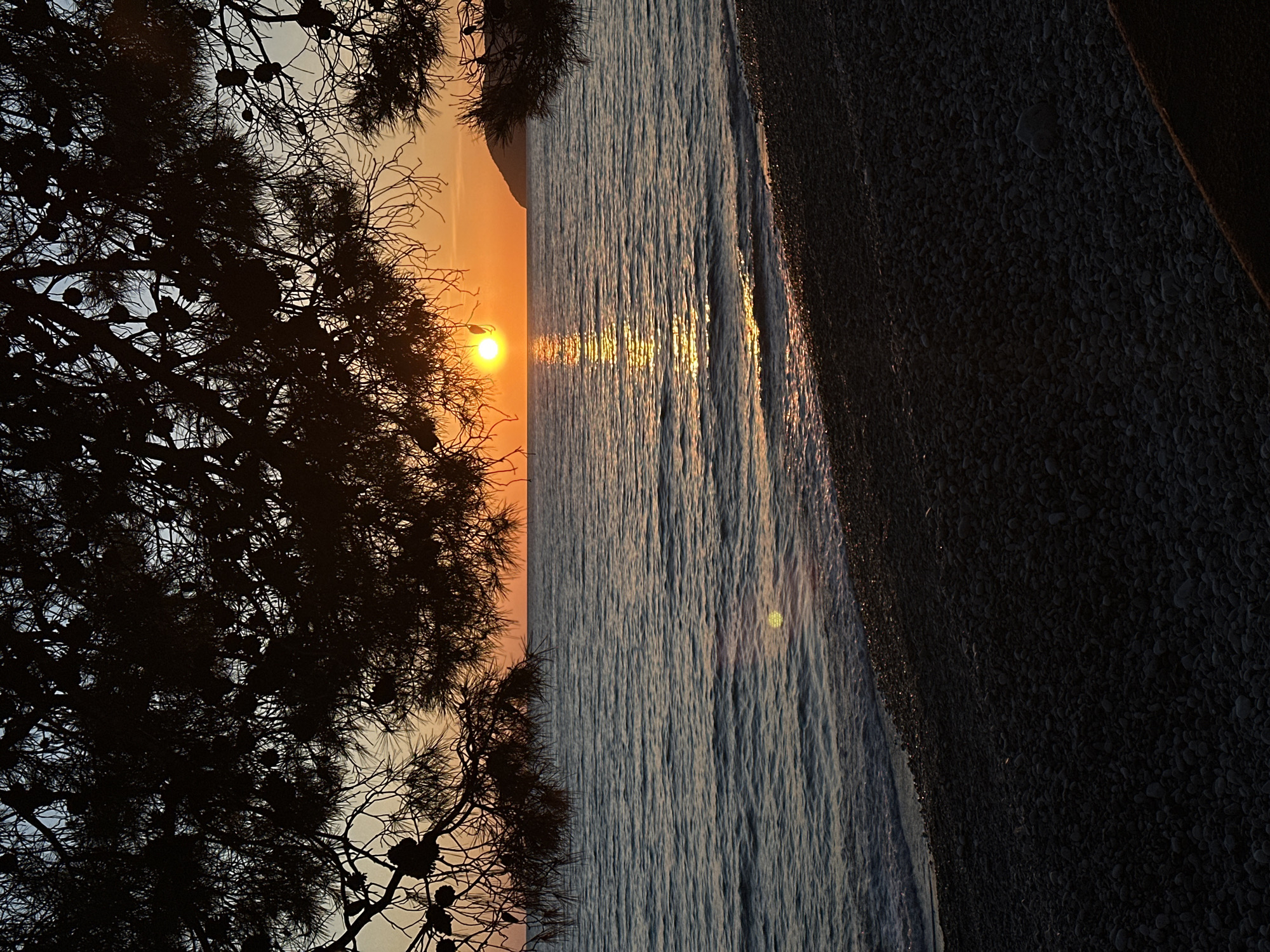 This image captures a serene sunset over the sea at Šušanj, Montenegro. The scene is dominated by the dramatic silhouette of pine tree branches and needles in the foreground, occupying the left side of the frame. Numerous pine cones are visible among the dark branches.
Through the gaps in the foliage, the sun, appearing as a bright orange-yellow disc, is visible just above the horizon, casting a luminous, shimmering path of light across the calm surface of the sea. The water reflects the sun's glow, creating a striking contrast with the darkening sky.
To the right, a dark, pebbly beach stretches along the coastline. The part of the beach closest to the water's edge catches some of the last light, showing subtle highlights, but the majority of the pebbles are in deep shadow. In the far distance, a faint, dark silhouette of land or mountains can be seen across the water.
The photograph depicts a peaceful coastal setting at dusk, with the warm colors of the sunset contrasting with the cool tones of the sea and the dark silhouettes of the trees and beach. There are no people or specific activities depicted, and no visible text in the image.
