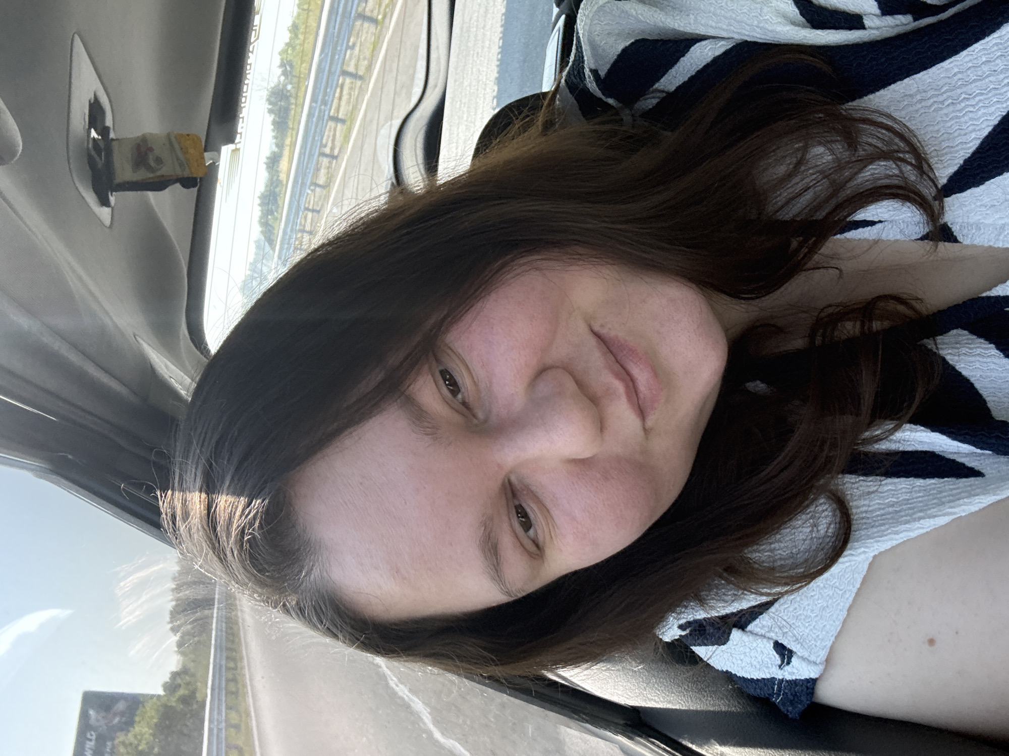 An adult female is captured in a close-up selfie inside a vehicle, likely a car, on a sunny day in Kozare, Bulgaria. She has long, dark brown hair, with visible graying near the roots on the left side of her head, which is highlighted by direct sunlight. Her complexion is light with pinkish undertones on her cheeks, and she displays a subtle, closed-mouth smile while looking slightly off-camera. She is wearing a textured garment with a distinctive pattern of broad white and dark blue or black stripes.
The immediate environment shows the interior of a car, including a light-colored headliner and the frame of a window on the left. A rectangular, worn air freshener, predominantly white/yellow with faded red and brown imagery, hangs from a fixture on the overhead console. Through the left window, an asphalt road with faint white markings is visible, bordered by a metal guardrail and green deciduous trees. A distant billboard with the partial word "WILD" and an indistinct image of an animal is visible beyond the trees. The view through the rear window similarly displays a road, guardrail, and trees, indicative of travel on a highway or main road under bright daylight.