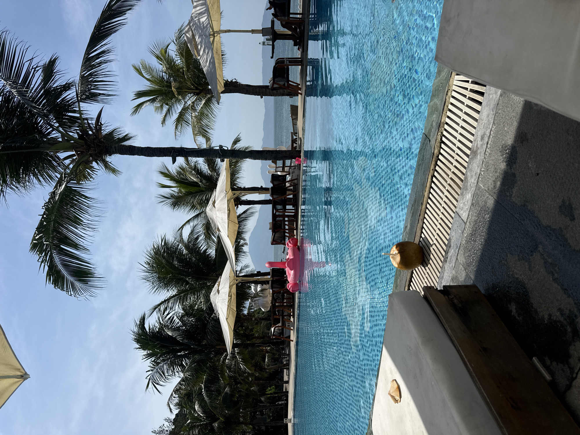 The image depicts a swimming pool area, possibly in a resort or hotel, with tropical elements present. A row of palm trees lines the left side of the frame, casting shadows on the scene. The pool is filled with blue-tiled water, where a pink inflatable flamingo is floating. A coconut rests on the pool's edge near a gray-tiled section with a drainage grate. Lounge chairs are visible near the pool. In the background, there are tables and chairs under white parasols, possibly a poolside dining area. Beyond that, there is a view of mountains or distant hills. The location is in the city of Unknown, Unknown.