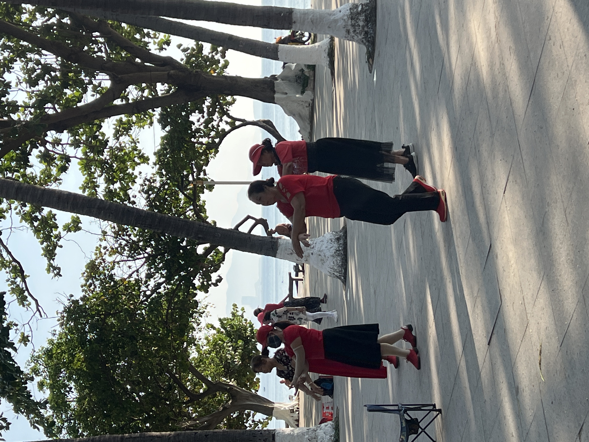 Captured at a low-angle perspective, the image depicts a group of women engaged in synchronized exercise along a seaside promenade in Nha Trang, Vietnam. The women are uniformly dressed in red shirts and dark pants or skirts, and red sneakers, and are stretching in unison. They are positioned on a gray stone walkway, marked with regular line patterns from the paving stones.
The foreground is dominated by the trunks of trees, painted white at the base. To the left, a dense canopy of green leaves partially obscures the view. In the background, the serene ocean is visible, with distant land formations on the horizon, indicating a coastal setting. The scene is bathed in natural sunlight, casting long shadows on the walkway.