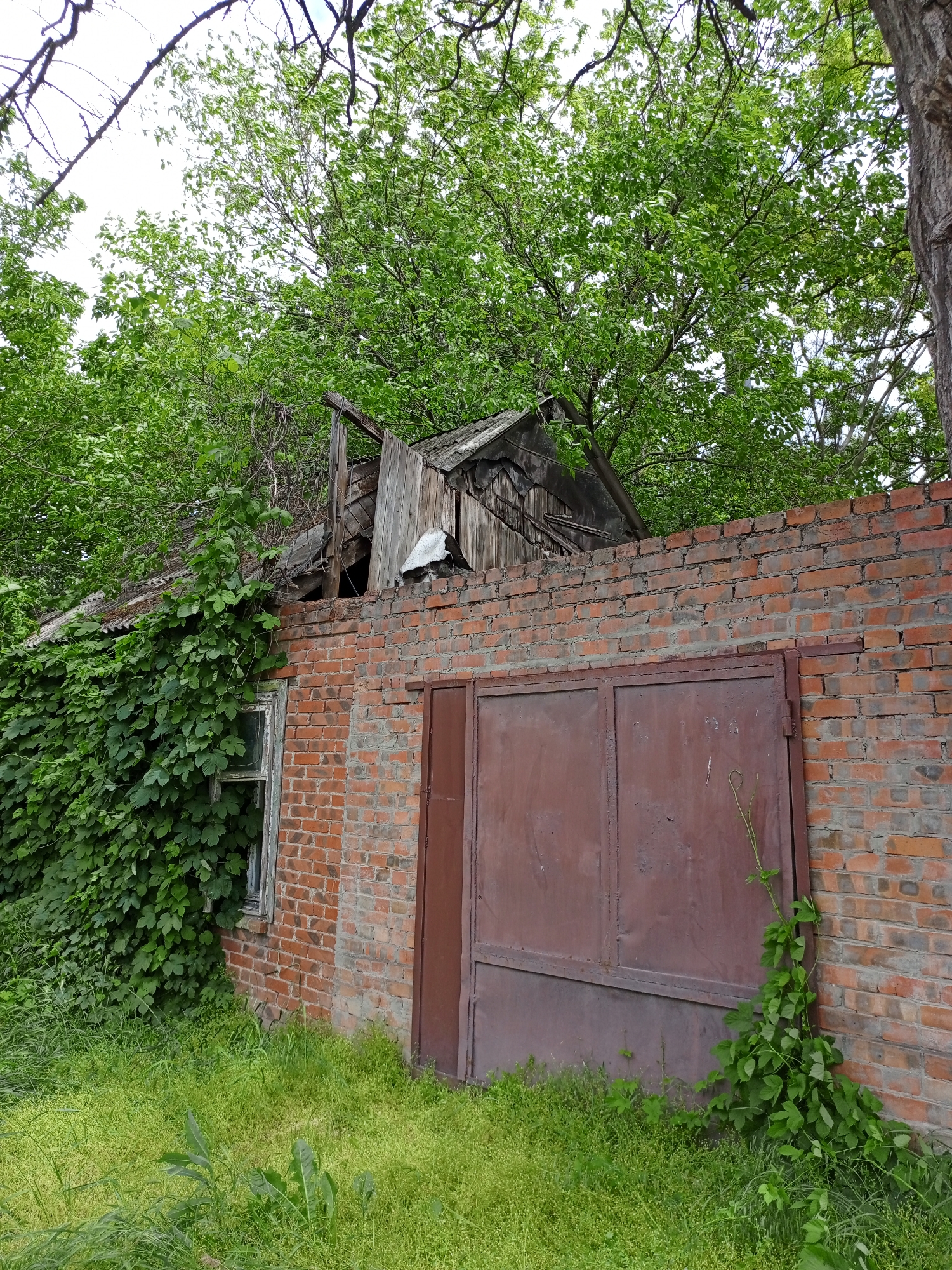 The image shows an old, possibly abandoned brick building in a rural setting. The building has a large, rusted metal door and a small window that is partially covered by vines. The roof of the building is dilapidated, with some wooden boards missing. The surrounding area is overgrown with grass and trees. The city and specific location are unknown based on the provided image.