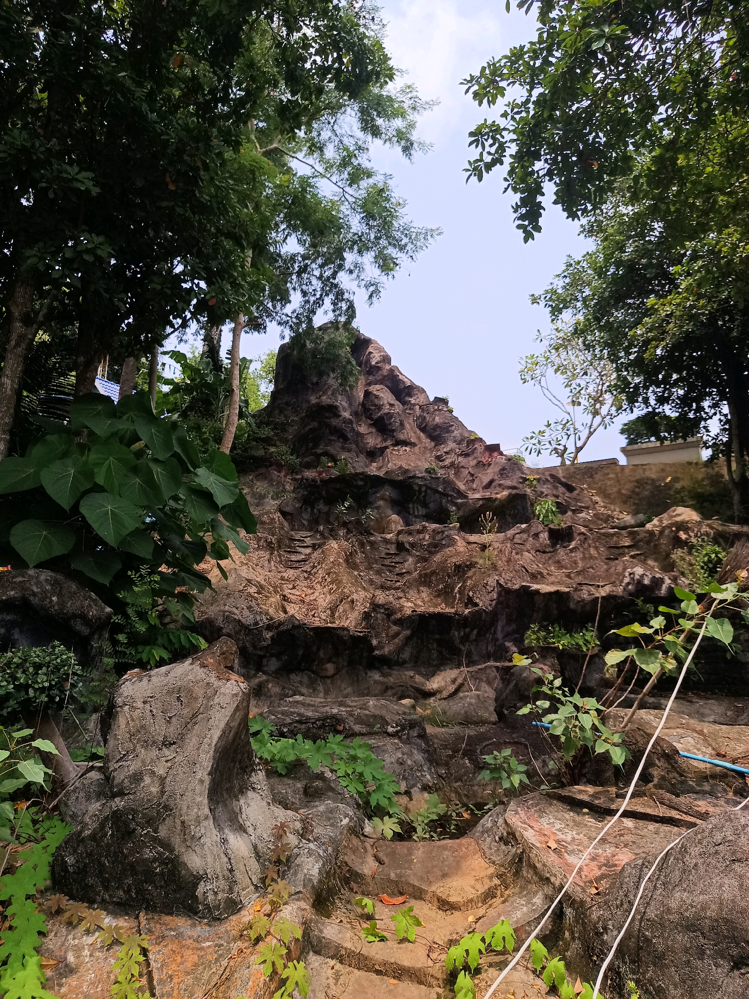 In the city of Sai Thai, Thailand, a man-made rock formation, resembling a natural cliff face, is situated within a lush, green environment. The rock formation is textured and irregular, with visible steps carved into its surface, suggesting a pathway or decorative element. The surrounding area is densely populated with various types of vegetation, including large-leafed plants and trees with dark green foliage that frame the scene. The sky above is a pale blue with sparse white clouds. The composition of the image, with the rock formation dominating the center and the surrounding foliage creating a naturalistic setting, suggests a garden or park environment. There are no people or animals visible in the image. The lighting suggests it is daytime, possibly late morning or early afternoon, with natural sunlight illuminating the scene. The presence of a white cord and a blue pipe is also noted, indicating some level of human intervention or utility within the naturalistic setting.
