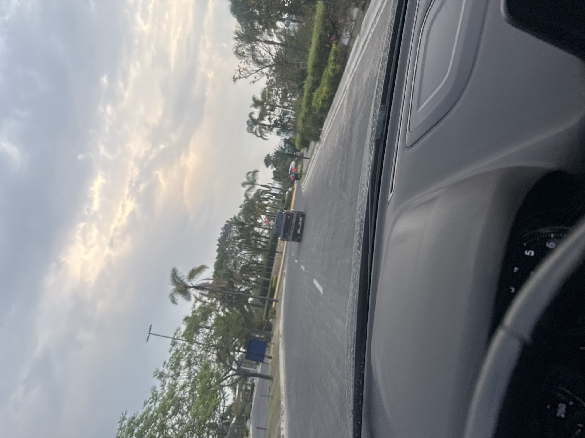 Captured from inside a vehicle, the scene shows a road cutting through San Bernardino Tlaxcalancingo, Mexico. Trees line the road, with cloudy skies above. Other vehicles are visible on the road ahead. Part of the car's interior, including the dashboard and steering wheel, is in the foreground.