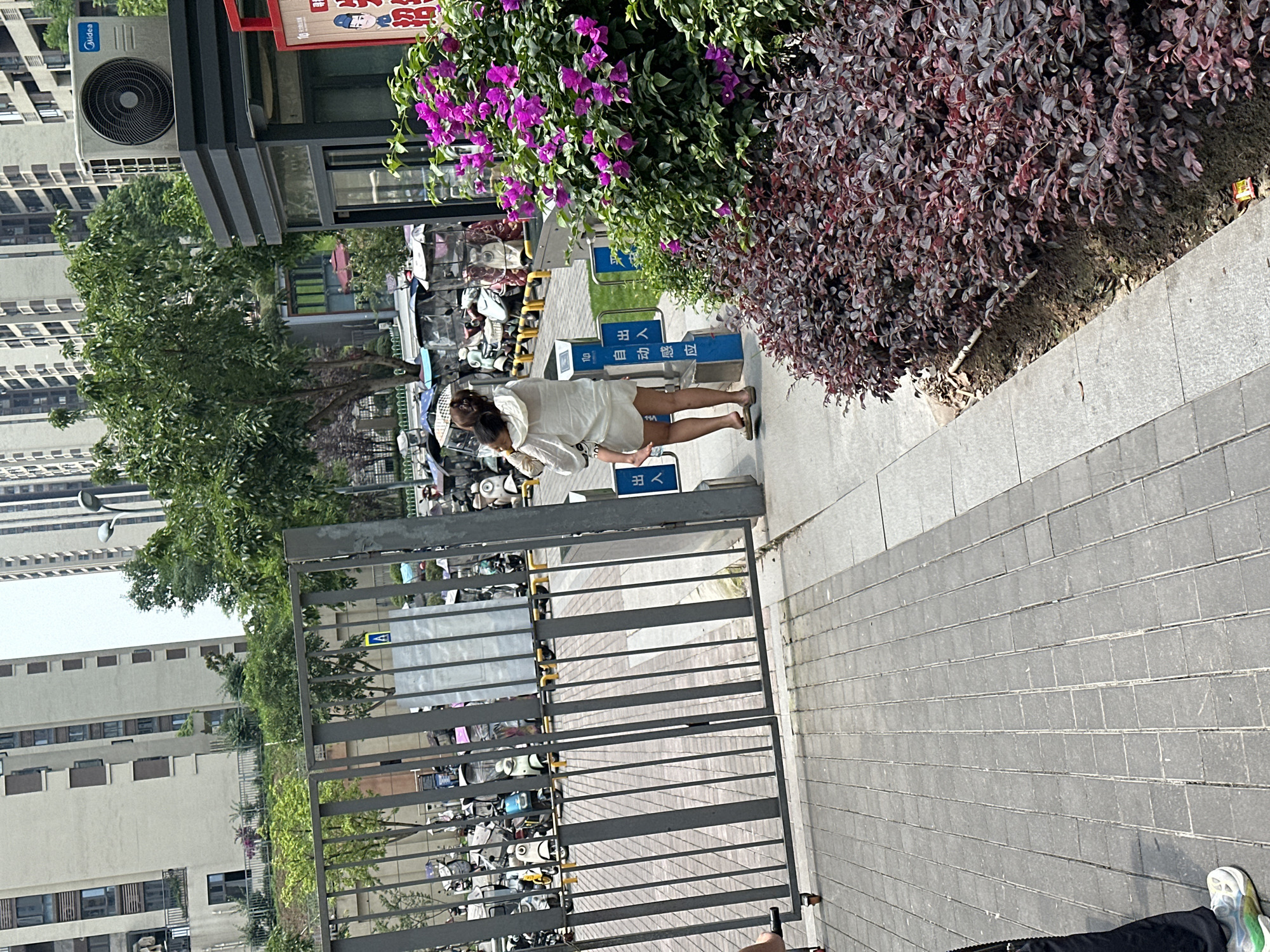 The image captures an urban scene within the Chongqing High-tech Zone, China, featuring an access point to a residential or commercial area on a clear day with an overcast sky.
In the mid-ground, an adult individual, observed from behind, is walking to the left, carrying a young child on their left shoulder. The adult wears a light-colored, possibly white or cream-colored, hooded garment and shorts, with flip-flops on their feet. The child, also in light attire, appears to be resting against the adult's back. They are positioned near a grey metal gate, partially open, featuring vertical bars and a wheel at its base, suggesting it slides open. To the right of the gate, two blue rectangular signs with white Chinese characters are visible. One clearly reads "出入口" (Entrance/Exit), and another reads "自动感应" (Automatic Sensor/Induction), indicating an automated entry system.
To the right of the walkway, a landscaped area contains dense foliage. A large bush with vibrant magenta-purple bougainvillea flowers is prominent, alongside a smaller bush with dark reddish-purple leaves in the lower right foreground.
Beyond the gate, a paved area is densely populated with numerous parked two-wheeled electric scooters and motorcycles, many covered with clear plastic rain covers. In the mid-distance, a small, dark-colored building, possibly a security booth or utility structure, features an outdoor Midea brand air conditioning unit mounted on its roof. The background is dominated by tall, light-colored multi-story apartment or residential buildings with numerous windows and balconies, typical of a modern urban development. Scattered green trees are visible between the buildings and the immediate foreground. The sidewalk in the immediate foreground is constructed from grey rectangular pavers.