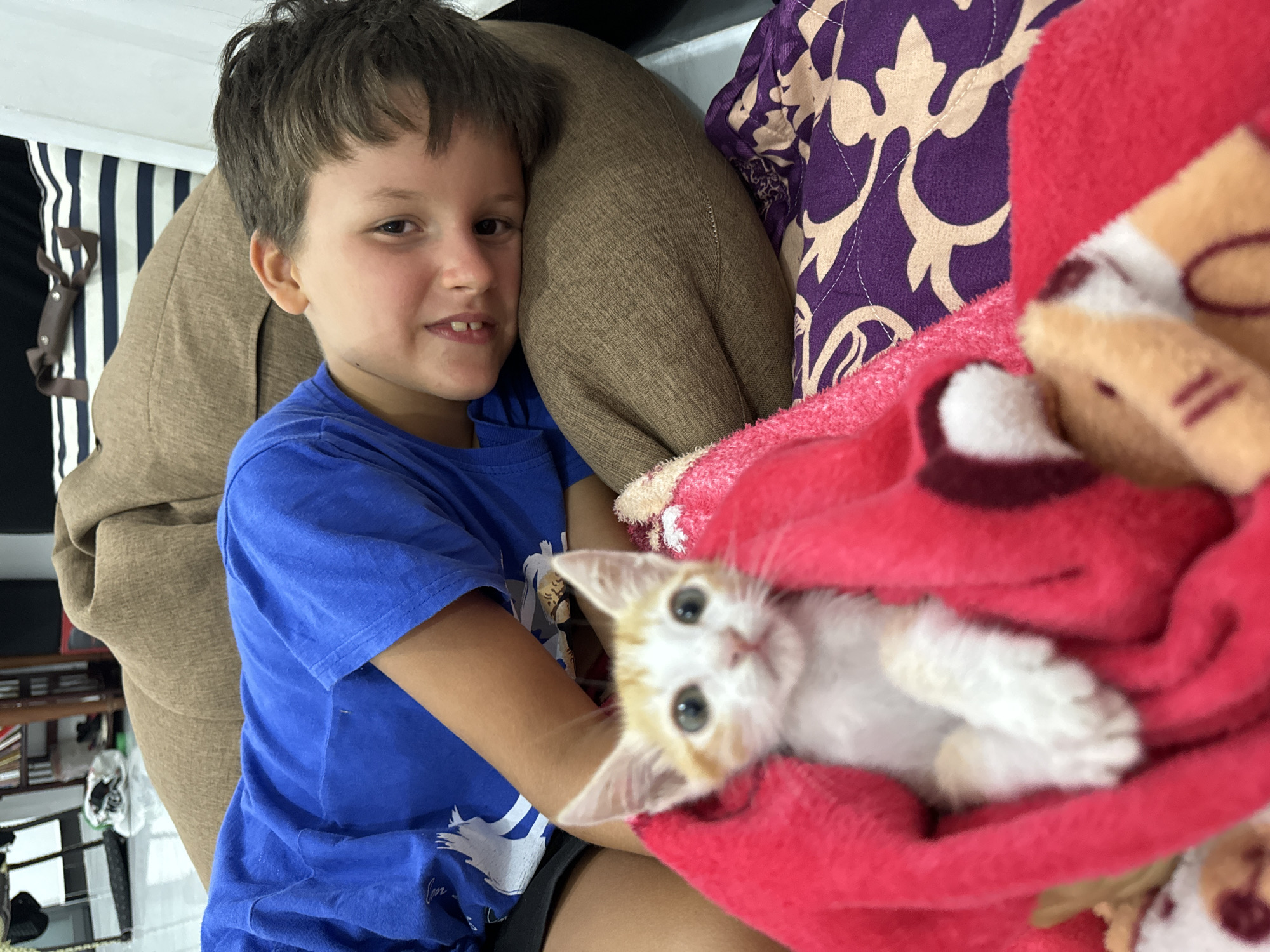 This image, taken in Mũi Né, Vietnam, captures a tender indoor moment between a young boy and a small kitten. The boy, appearing to be around 6-8 years old, is seated on the left, leaning against a large, textured brown cushion. He has short, dark brown hair and is wearing a blue t-shirt, partially adorned with a faint white graphic on the lower right side. He gazes directly at the viewer with a soft, friendly smile, showcasing his front teeth.
Cuddled gently in the boy's arms and wrapped securely in a bright red, fluffy blanket is a tiny kitten. The kitten is mostly white with delicate patches of light orange fur, particularly on its face and around its ears. It has large, dark, curious eyes and looks up towards the camera. Its small, indistinct paws are visible beneath the blanket, indicating its very young age.
The background reveals a cozy domestic setting. Behind the boy, a black and white striped fabric is visible, likely part of another cushion or furniture. To the right, a purple-patterned pillow or blanket with beige ornate designs adds a contrasting color and texture to the scene. The image evokes feelings of warmth, affection, and comfort, highlighting the sweet bond between the child and his small pet. There is no visible text in the image.