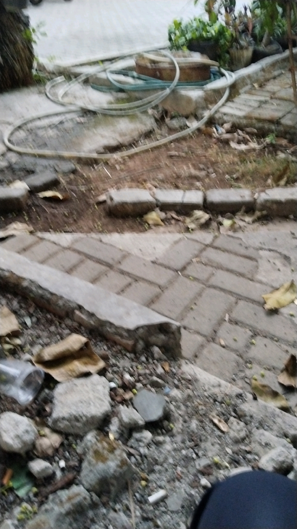 The image shows an outdoor scene with paving stones and debris on the ground. In the background, there are plants in pots and a coiled hosepipe. The foreground is cluttered with stones, leaves, cigarette butts, and a plastic bottle. The scene appears to be in an outdoor area with a somewhat unkempt appearance, possibly a garden or yard. The lighting suggests it is daytime. The presence of cigarette butts indicates that someone may have been smoking in this area. Without additional information, it is not possible to determine the specific location within Bekasi, Indonesia, or any specific actions or interactions taking place.