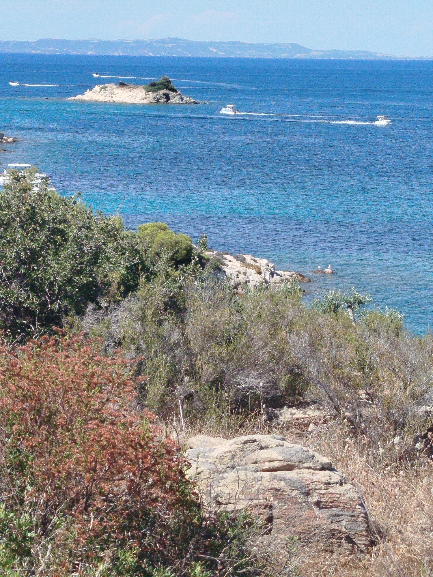 The image depicts a coastal scene in Sithonia Municipal Unit, Greece, characterized by a rocky shoreline, lush vegetation, and the blue expanse of the sea. In the foreground, dry grasses and shrubs dominate, with a large, textured rock in the lower right quadrant. A cluster of red-brown bushes is visible in the lower left. Further back, dense green foliage lines the coast, giving way to a rocky shore meeting the clear blue water. Several small boats are present on the sea. One white boat is docked or anchored on the left, while two other white motorboats are actively cruising in the distance, leaving white wakes. A small, rocky islet covered in green vegetation sits in the middle ground of the sea. In the far background, a hazy, mountainous coastline is visible under a pale blue sky. Two white birds, possibly seagulls, are perched on rocks in the shallow water.