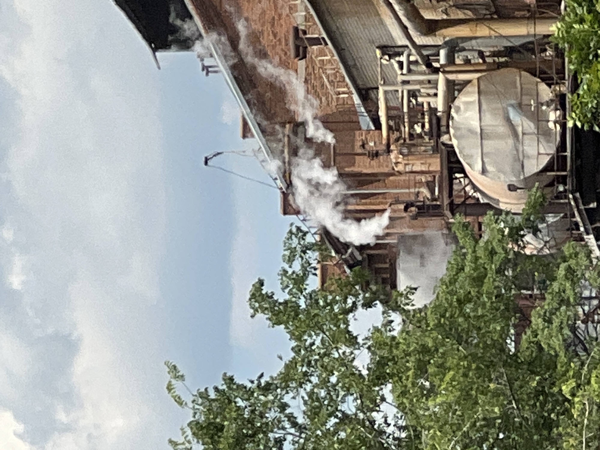 This image shows an industrial facility with brick buildings and pipes, under a cloudy sky. There is visible steam or smoke emanating from several points on the structures, suggesting ongoing industrial processes. Green foliage from trees partially obscures the foreground and parts of the facility. The scene depicts a section of an operational industrial complex, likely engaged in manufacturing or processing. There are no discernible people or any specific identifiable landmarks that would indicate its location within Krasnodar, Russia.