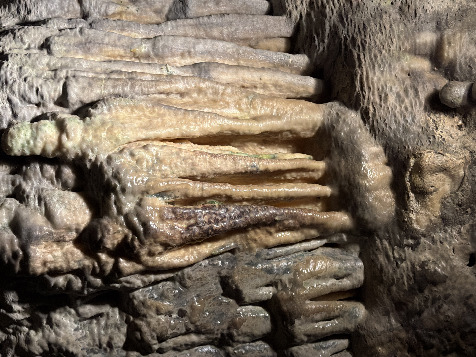 The image depicts a close-up of cave formations, likely stalactites or flowstone, within a cave system. The formations are primarily composed of minerals, exhibiting a layered, rippled texture. Colors range from light beige to tan to dark brown, with some areas appearing wet or glistening. The environment is dimly lit, casting shadows that emphasize the texture and contours of the formations. No people or other subjects are visible in the image. The location is inferred to be within a cave in Manacor, Spain.