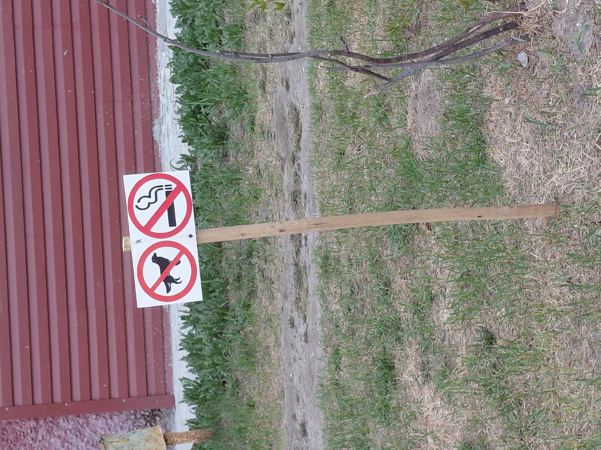The image shows a wooden post with two signs attached to it. The top sign prohibits smoking, while the bottom sign prohibits dogs from defecating. The post stands on a patch of mixed grass and dirt, adjacent to a building with a red corrugated metal wall. The specific location in the city of Nadym, Russia cannot be determined from the provided image alone.