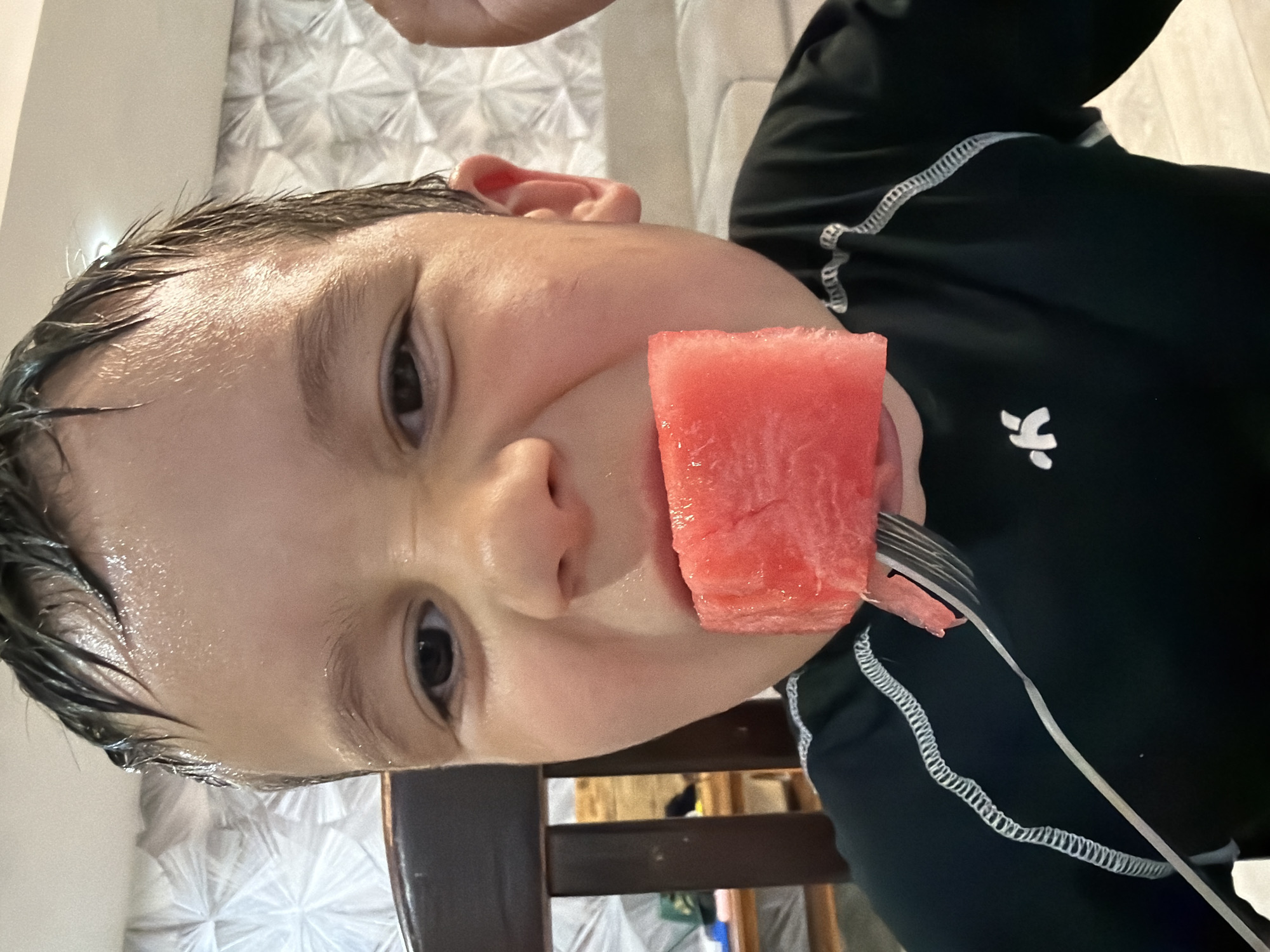 A close-up, low-angle, portrait-oriented shot shows a young boy, likely a child, wearing a black long-sleeved rash guard with white stitching and a small white logo on the right chest. His hair is wet, slicked back, and he has a playful, slightly mischievous expression, with his mouth contorted as if about to bite into a piece of watermelon. He is holding a fork with a cube of bright red watermelon on it, which is positioned directly in front of his mouth. The boy's skin appears flushed and slightly sweaty, suggesting recent activity, possibly swimming. The background is out of focus but appears to be an indoor setting with a textured, light-colored wall or curtain behind him, and a dark wooden chair in the foreground. The lighting is bright and appears to be natural daylight, casting subtle highlights on his skin and hair. The scene conveys a sense of casual enjoyment and a moment of refreshment. There is no visible text in the image.