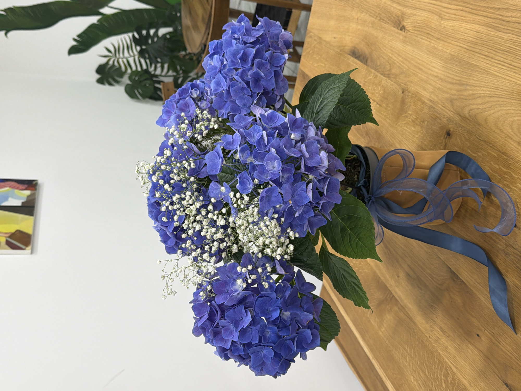 A bouquet of blue hydrangeas and baby's breath, secured with a blue ribbon, sits on a wooden surface. In the background are a white wall and green foliage, possibly a plant. To the left, a partially visible artwork hangs on the wall. The location appears to be indoors. There are no people present in the image. The city of Sofia, Bulgaria, cannot be determined from this image alone.