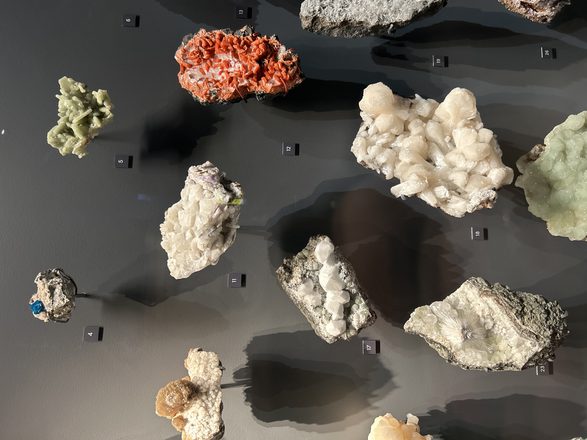 A high-angle, medium shot captures a curated display of diverse mineral and crystal specimens mounted on a dark grey wall, likely within a museum or exhibition in New York, United States of America. No people are visible.
The specimens vary significantly in color, texture, and crystalline structure. Prominently featured are:
* A light green, botryoidal formation (labeled 5).
* Two clusters of vibrant orange-red crystals on a white matrix (labeled 6 and 13).
* A large, creamy-white cluster of elongated and rounded crystals (labeled 19).
* A small, grey rock embedding a vivid blue crystal (labeled 4).
* Several white or clear crystalline growths on dark, rough matrices, including one with a striking central, starburst-like formation (labeled 23) and another with smaller, blocky crystals (labeled 11 and 17).
* A light green, textured specimen (partially visible, labeled 26).
* A yellowish-brown aggregate formation on a white matrix (bottom left).
Each specimen is individually numbered with white digits on small black squares (4, 5, 6, 11, 12, 13, 17, 18, 19, 23, 26), indicating an organized collection. The lighting from an unseen source casts distinct shadows of the minerals onto the wall, adding depth to the display. The overall scene emphasizes the natural beauty and geological diversity of the minerals.
