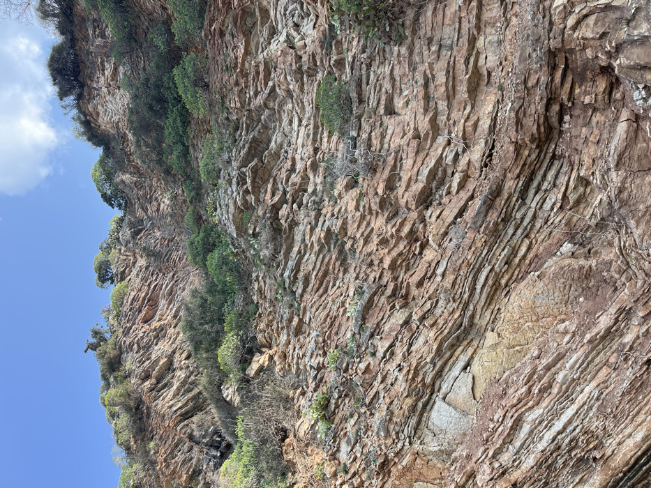 The image displays a steep, rugged rock face in the city of Rafailovići, Montenegro, extending from the bottom to the top of the frame. The dominant feature is a stratified geological formation composed of numerous layered rock segments, predominantly in shades of reddish-brown, tan, and gray, with visible variations in texture and erosion patterns. The rock layers exhibit a distinct diagonal tilt from the lower-left to the upper-right, suggesting geological folding or uplift. Sparse Mediterranean vegetation, consisting of green shrubs, smaller leafy plants, and some cacti-like flora, grows intermittently from crevices and ledges across the rock surface. Patches of drier, lighter-colored vegetation are also visible. The upper portion of the scene reveals a clear blue sky with a few scattered white cumulus clouds. No individuals, human-made objects, actions, or interactions are present within the frame. The scene is illuminated by natural daylight.