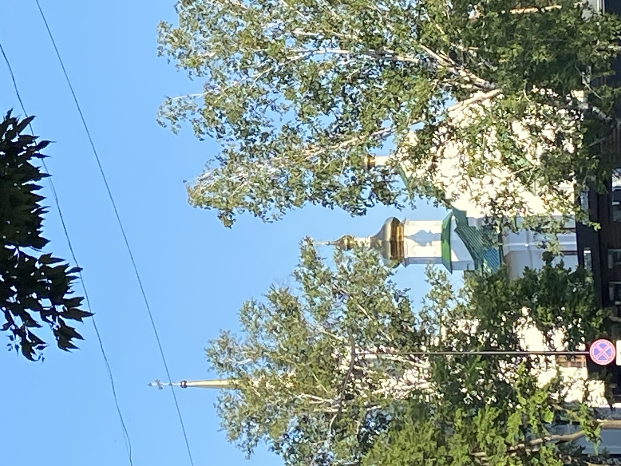 The image depicts the Church of the Annunciation (Blagoveshchensky Sobor) in Blagoveshchensk, Russia, partially obscured by trees. The church features white walls and a green roof, with a prominent golden dome topped with a cross. Another smaller golden dome is visible to the right. The sky is clear and blue. The foreground shows lush green trees, primarily birch trees with white bark, and the branches of a dark-leafed tree at the top of the frame. A tall, thin pole with a red and blue circular sign at its base is visible in the lower left portion of the image. The overall scene suggests a bright, sunny day.
