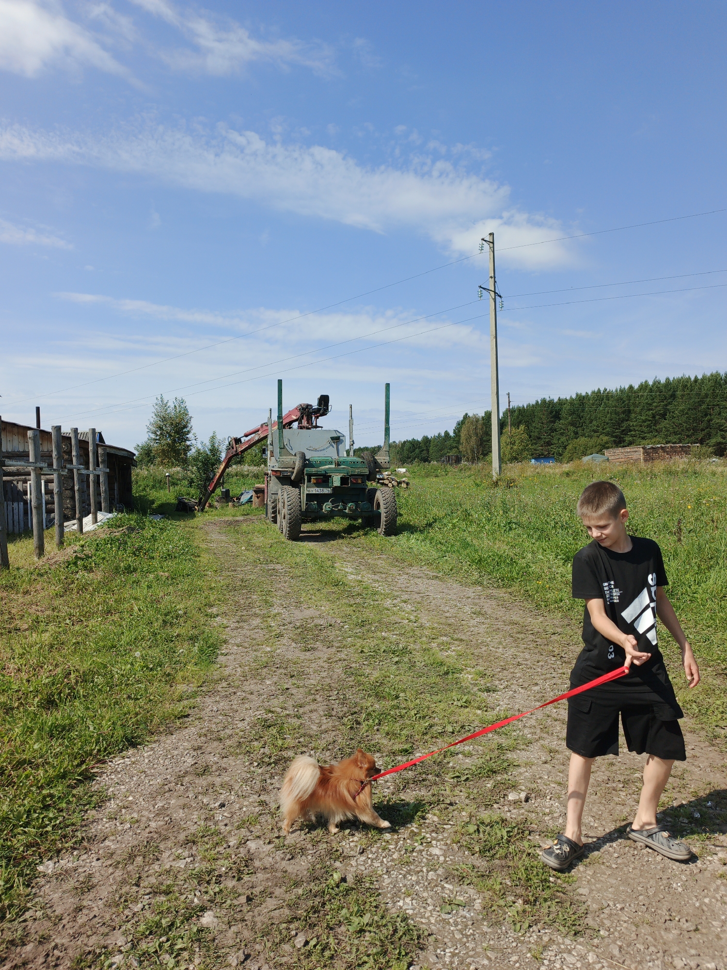 A medium shot captures a boy walking a small, fluffy, reddish-brown dog on a red leash along a dirt road in the rural village of Medvedyovka, Russia. The boy, wearing a black t-shirt and black shorts, is holding the leash in his right hand, which is positioned in front of him. His left arm is bent at the elbow and his hand is open. The dog is trotting ahead of him, facing away from the camera. To the left of the dirt road, a rustic wooden structure with a weathered roof and vertical log supports is visible. Behind the structure, a green truck with a crane attachment is parked on the side of the road. The road is flanked by green grass and tall trees. In the background, a power pole with wires stretches across the frame against a bright blue sky with scattered white clouds. Further in the distance, a dense forest can be seen. The overall scene suggests a casual outdoor activity in a countryside setting.