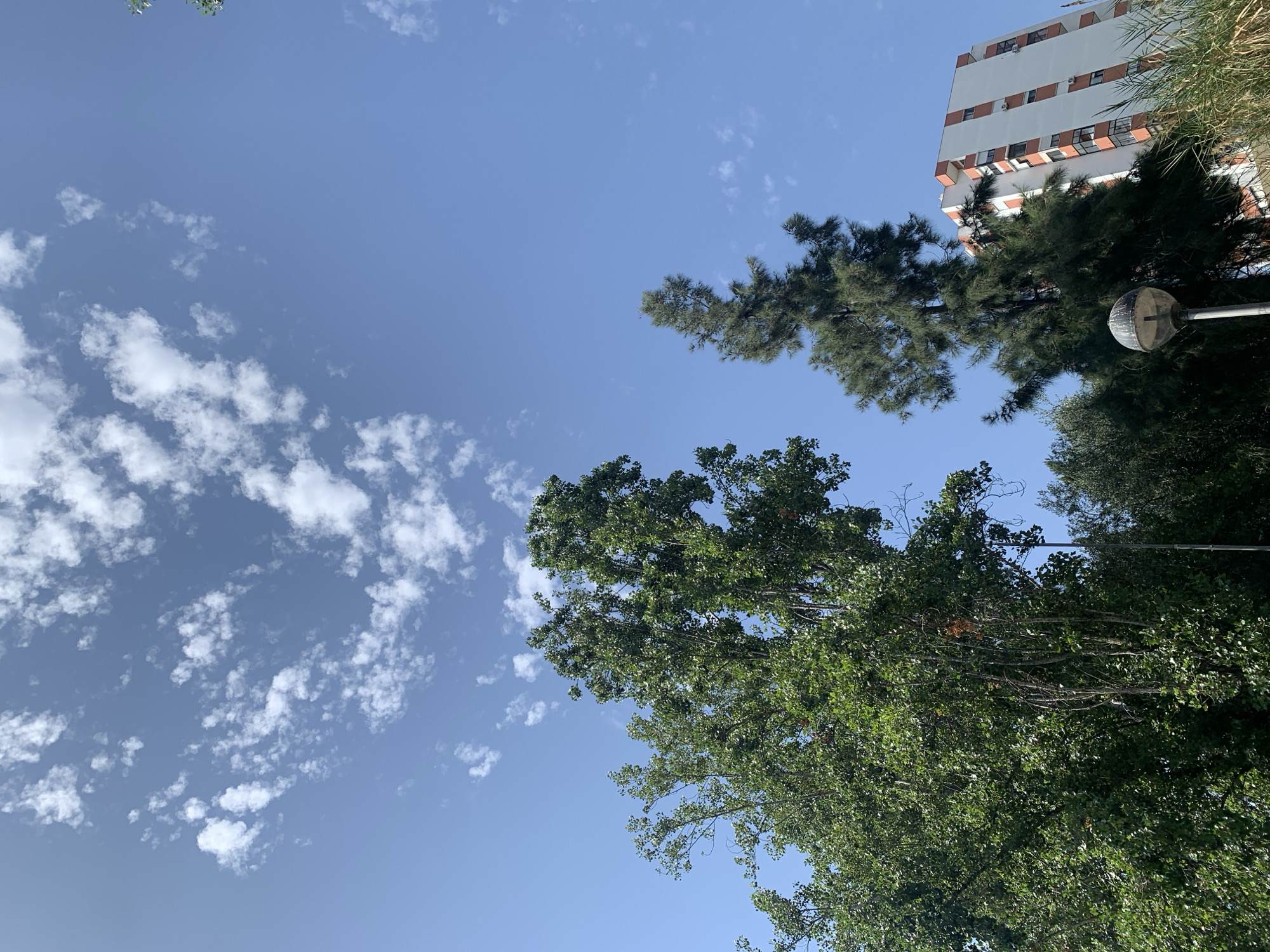 The image depicts a clear blue sky with scattered white cumulus clouds above a lush green canopy of trees. In the background, a white building with orange trim and multiple windows is visible. A tall, slender evergreen tree stands in front of the building. In the foreground, a street lamp with a circular shade is partially obscured by foliage. The scene suggests an urban environment, possibly in Odivelas, Portugal, given the architectural style of the building and the types of trees. There are no people or animals visible in the image.