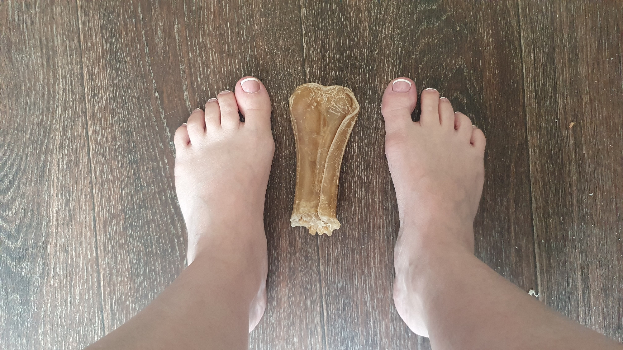 A top-down shot depicts two bare human feet flanking a dried dog treat on a wood-patterned floor. The feet are oriented parallel to each other. The dog treat is centered between the feet. The toes of the feet feature French manicures. The scene is likely indoors, due to the flooring. There is no information to place this scene in the city of Ulyanovsk, Russia.
