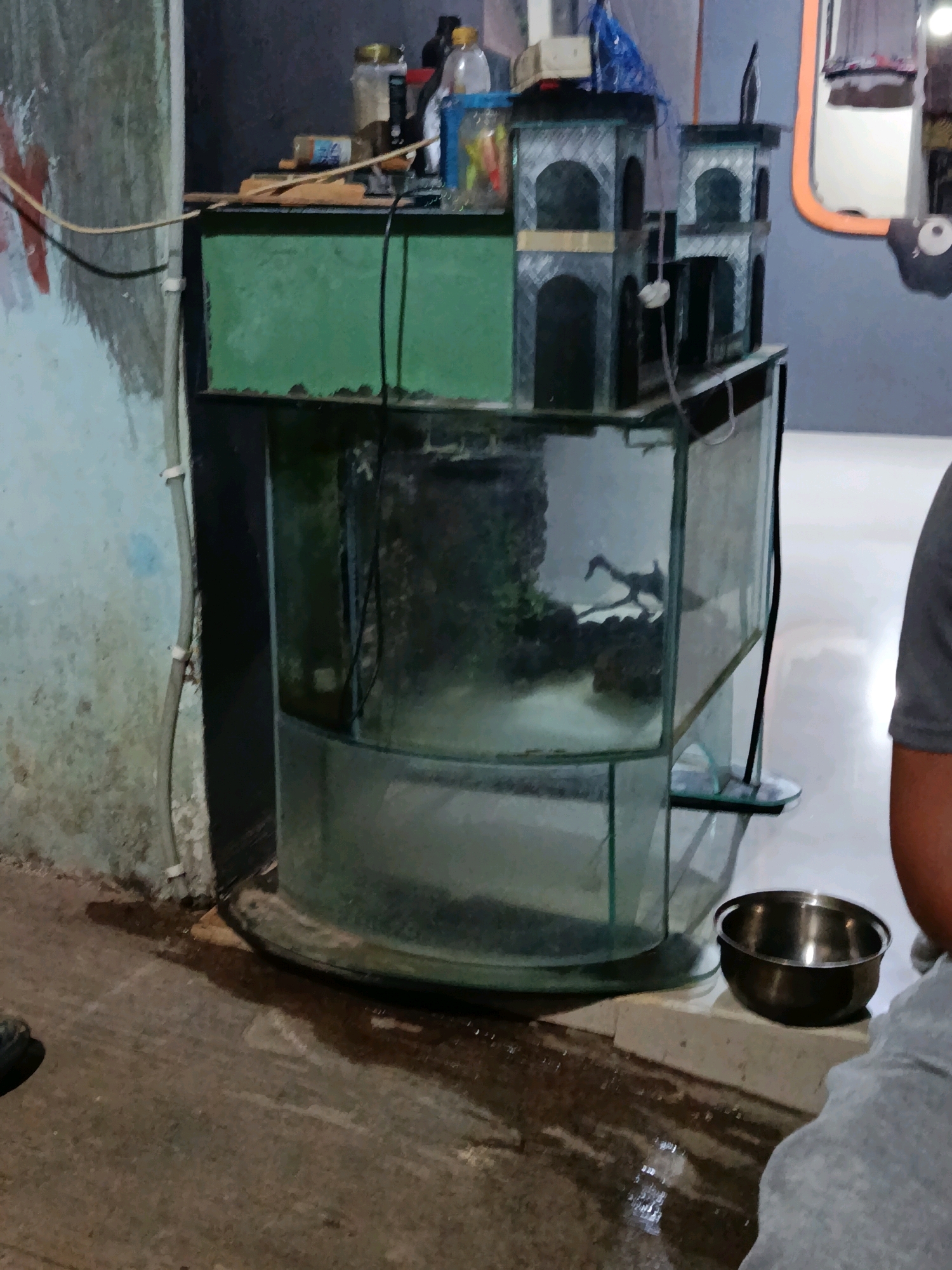 The image depicts an indoor scene, possibly in Jepara, Indonesia, with a focus on a large, multi-tiered aquarium setup. The aquarium is made of glass and has a curved front. The lower section of the aquarium appears to be partially filled with water and substrate, while the upper section is also filled. A decorative structure resembling a castle with arched windows sits on top of the upper aquarium section. Various objects, including bottles and containers, are placed on a shelf behind the aquarium. A metallic bowl is visible on the floor in front of the aquarium. A portion of a person's arm and shoulder, wearing a grey garment, is visible on the right side of the frame, suggesting a human presence in the vicinity. The environment appears to be dimly lit, with a textured, possibly concrete wall on the left side, marked with some red paint. Water stains or spills are visible on the floor in front of the aquarium.
