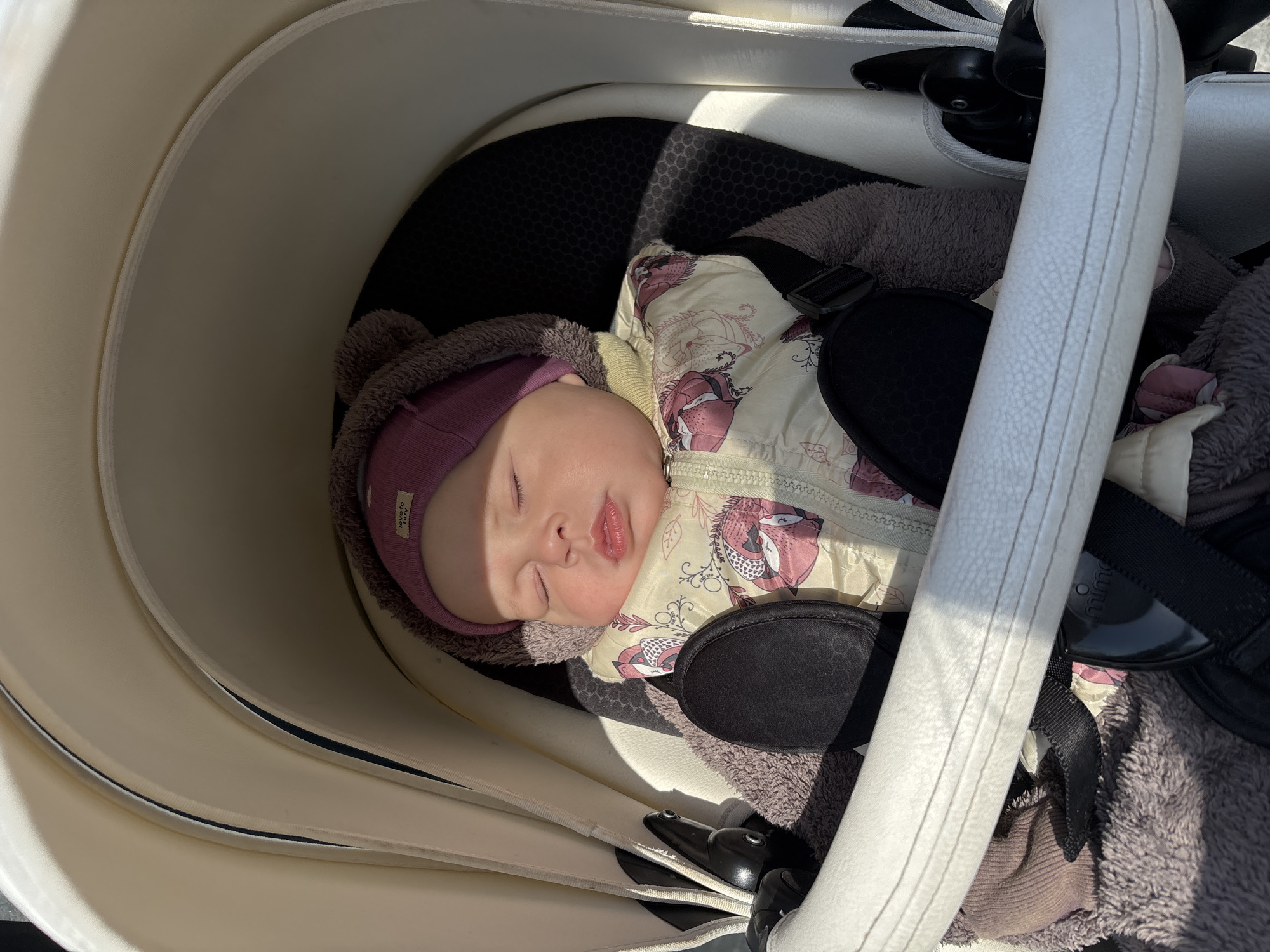 A baby in a stroller is sleeping in a stroller seat. The baby wears a purple hat and a cream-colored jacket with a floral pattern. The stroller's interior is off-white and the seat is black and a fluffy grey. The location is unknown.