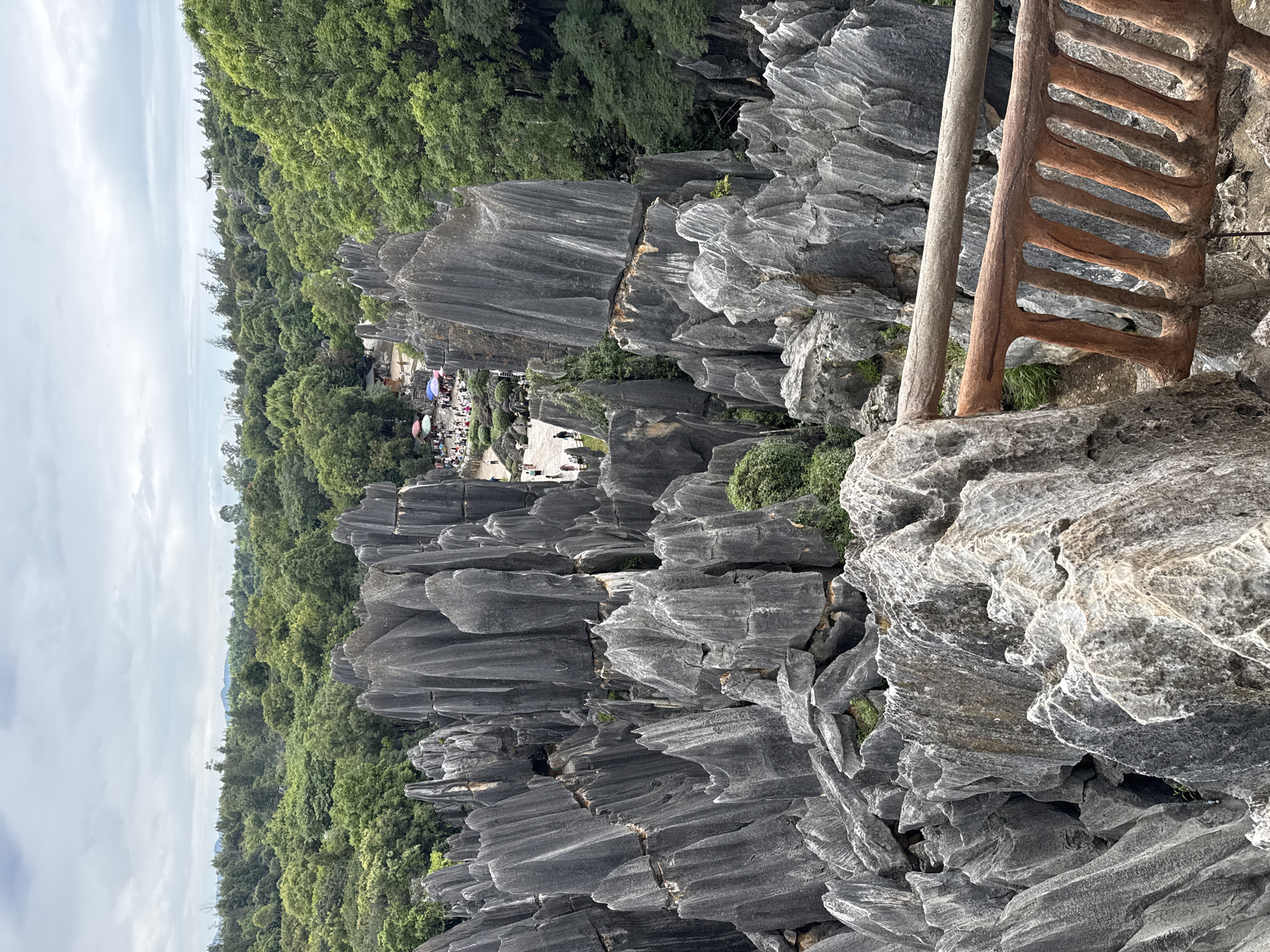 This image captures a scenic view of the Stone Forest (Shilin) in Kunming, China, a UNESCO World Heritage site known for its unique karst topography. In the foreground, a wooden railing with a rustic, weathered appearance is visible, framing the view. Beyond the railing, numerous towering limestone formations, resembling grey stone pillars or swords, dominate the landscape. These formations are jagged and sharp, exhibiting a weathered texture. Small patches of green vegetation sprout from crevices between the rocks.

In the middle ground, a pathway winds through the stone forest, populated by a crowd of tourists. People are seen strolling, some under colorful umbrellas and tents, indicating a leisurely visit. The pathways are paved and navigate between the imposing stone structures.

The background is a lush, dense forest of green trees, creating a striking contrast with the grey of the stone formations. The canopy is thick, with a variety of trees contributing to the verdant backdrop. The sky above is overcast, with soft, diffused light illuminating the scene. In the far distance, faint outlines of hills or mountains can be seen under the cloudy sky. The overall impression is of a natural wonder preserved as a tourist attraction, where visitors can explore the dramatic geological formations amidst a vibrant natural environment.