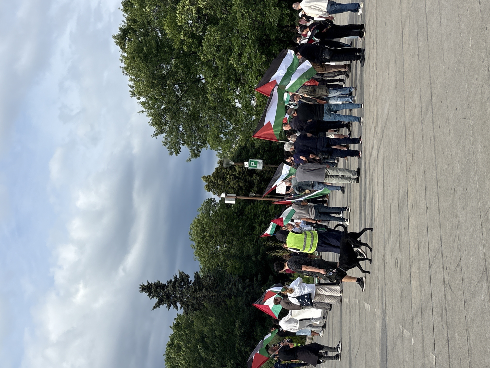 A medium-shot, eye-level, outdoor photograph captures a crowd of people gathered in a paved area, likely a public square, with a backdrop of lush green trees and a cloudy sky. Many individuals in the crowd are holding Palestinian flags, visible in various sizes and positions throughout the frame. The flags are a prominent feature, with their distinctive black, white, and green stripes and red triangle. Several people are wearing casual clothing, while a few stand out in high-visibility vests, suggesting a potential organized event or demonstration. A black dog is walking across the paved ground in the foreground, seemingly unfazed by the gathering. In the background, a lamppost with a "P" sign, indicating parking, and other urban infrastructure are visible. The overall impression is of a public assembly under an overcast sky, with a strong visual presence of Palestinian flags. The context suggests a location in the city of Sofia, Bulgaria, based on similar imagery from protests and gatherings in the area.