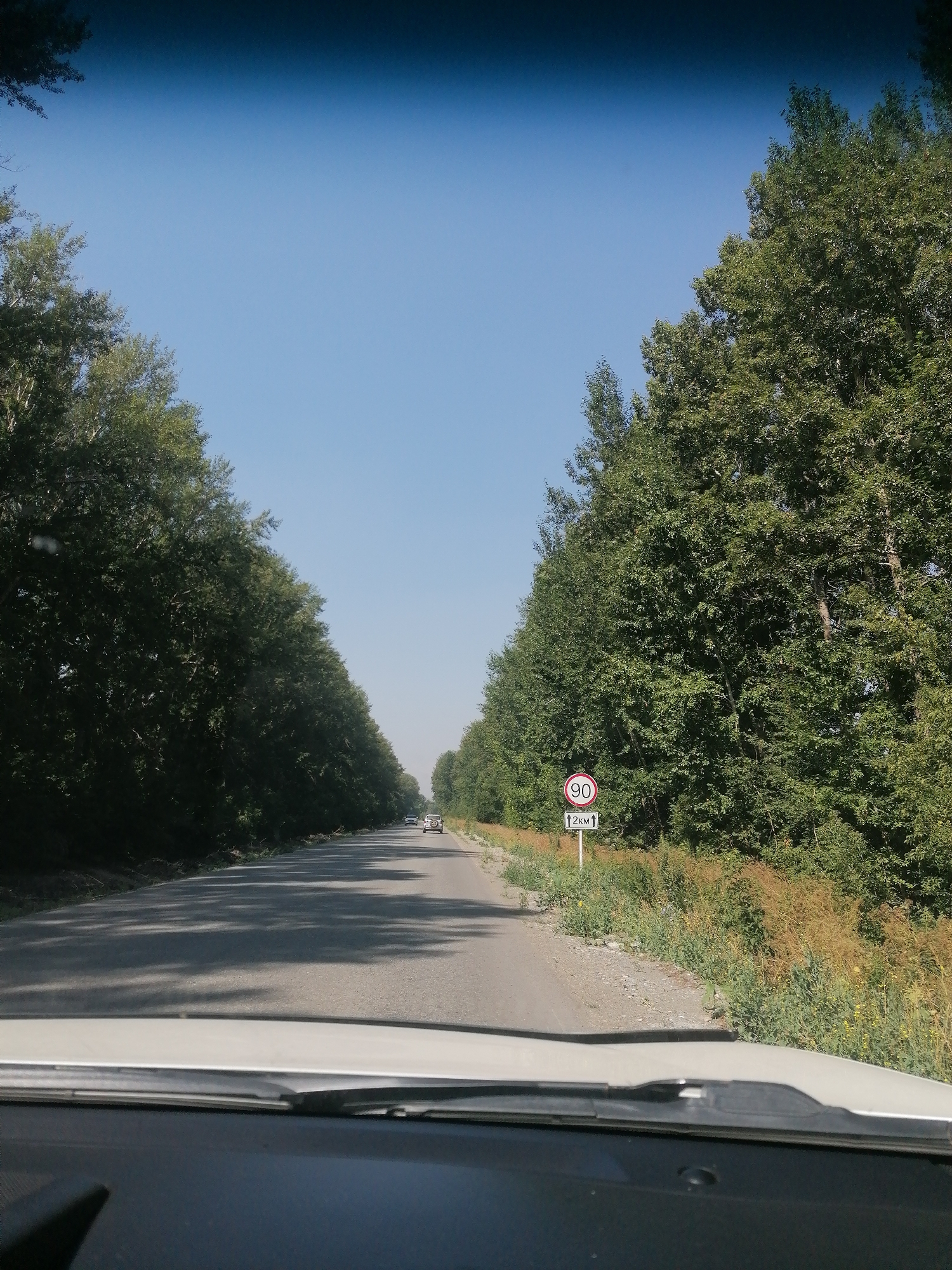 A forward-facing, eye-level view from inside a vehicle shows a paved two-lane road bordered by dense trees on both sides. The sky is clear and blue. A white speed limit sign with a red circle indicating "90" and an arrow pointing upwards with "12KM" underneath is visible on the right side of the road. Two white cars are traveling in the same direction as the viewer, further down the road. The sun casts shadows on the road from the trees.